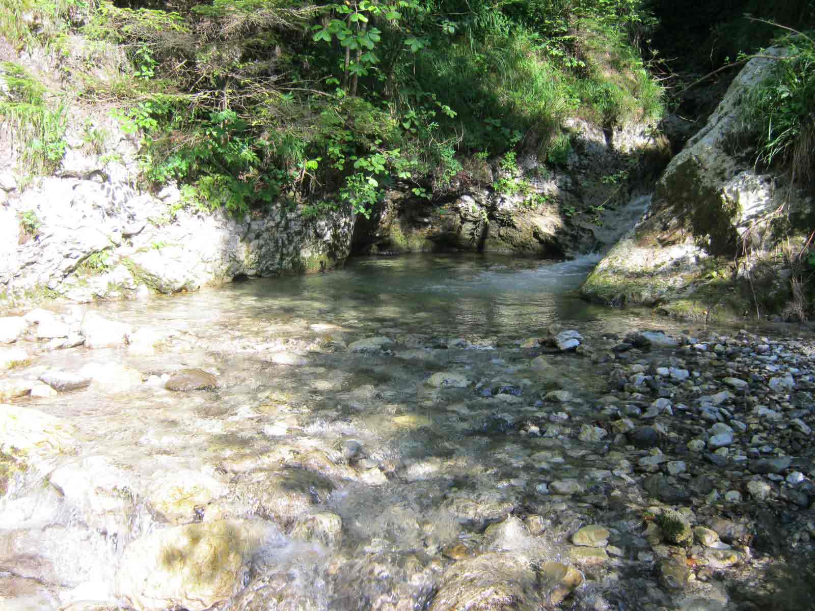 - image: 13