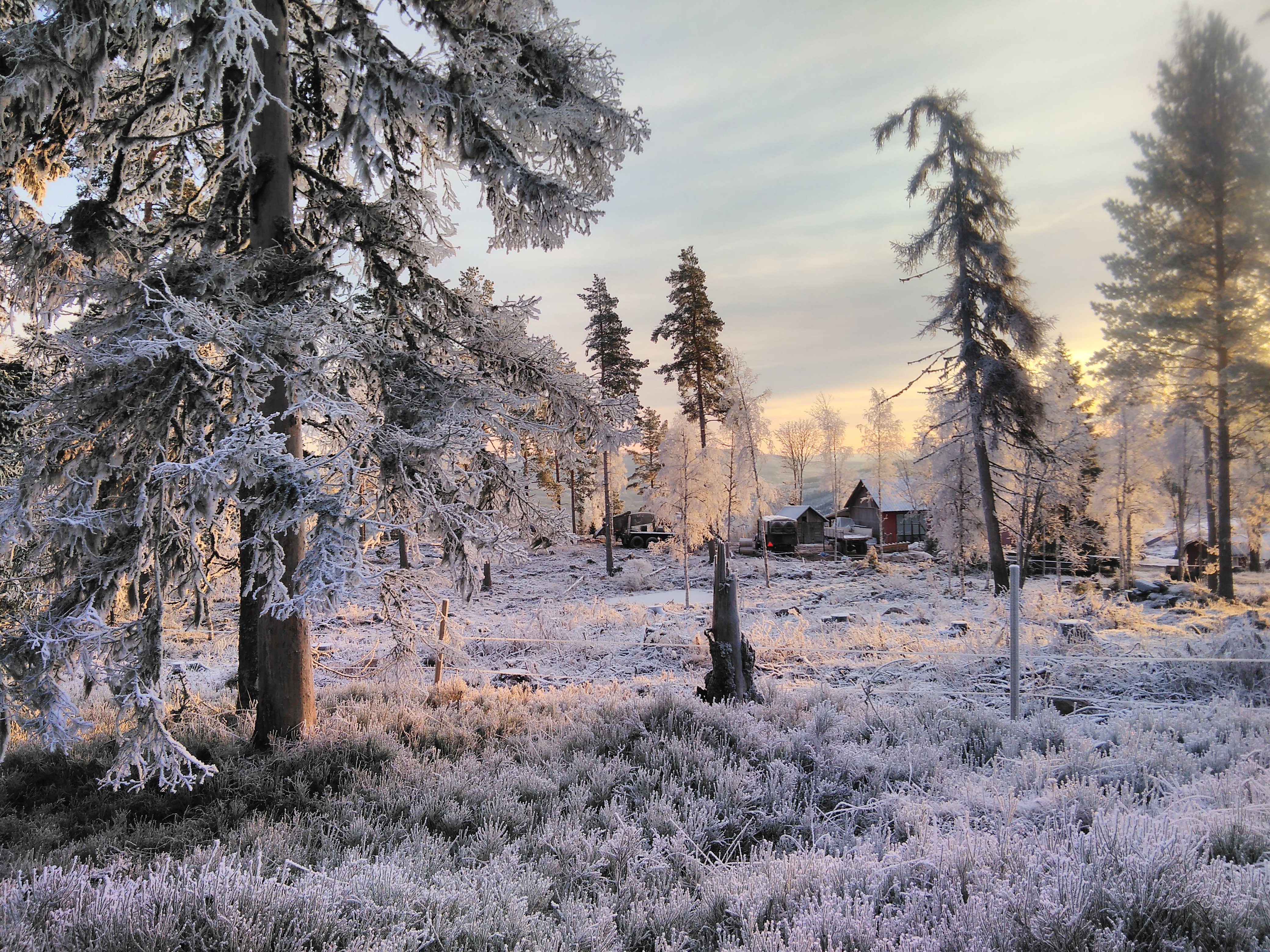 - image: 57
