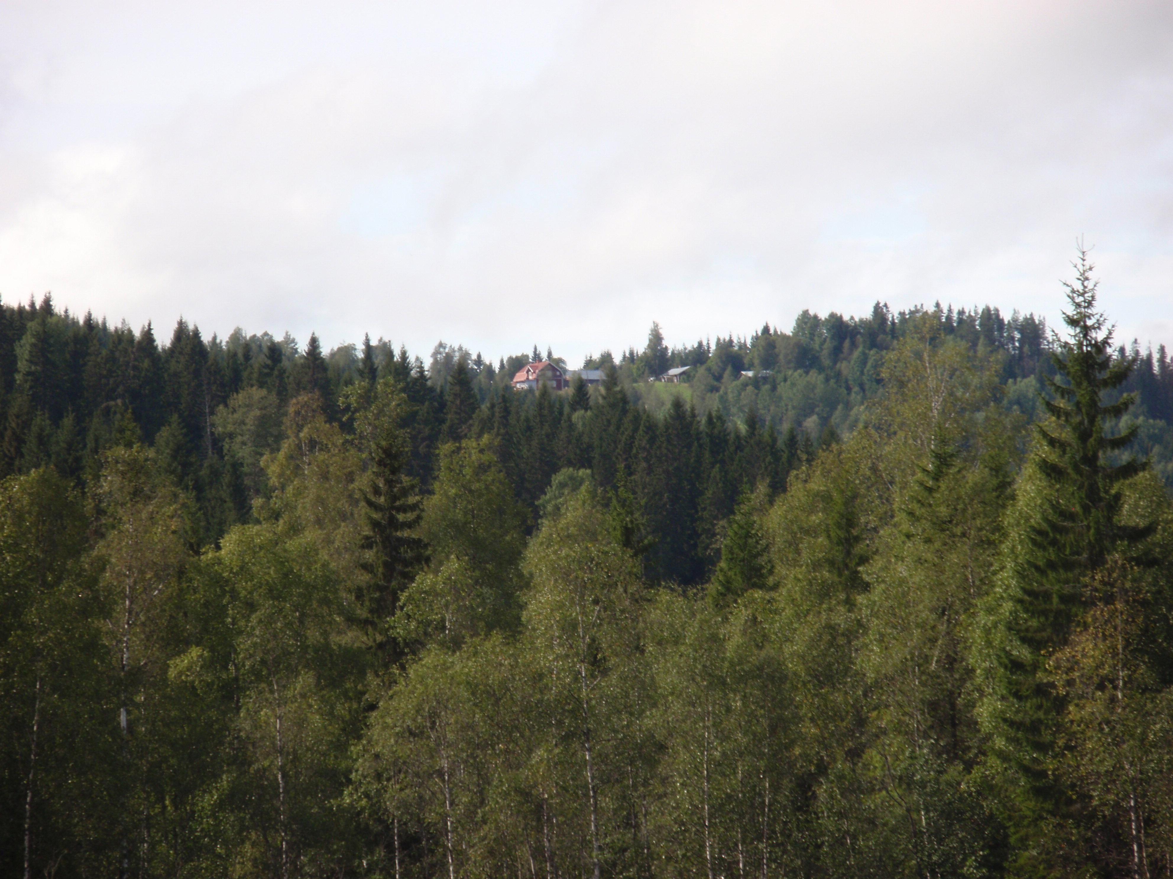 - image: 14