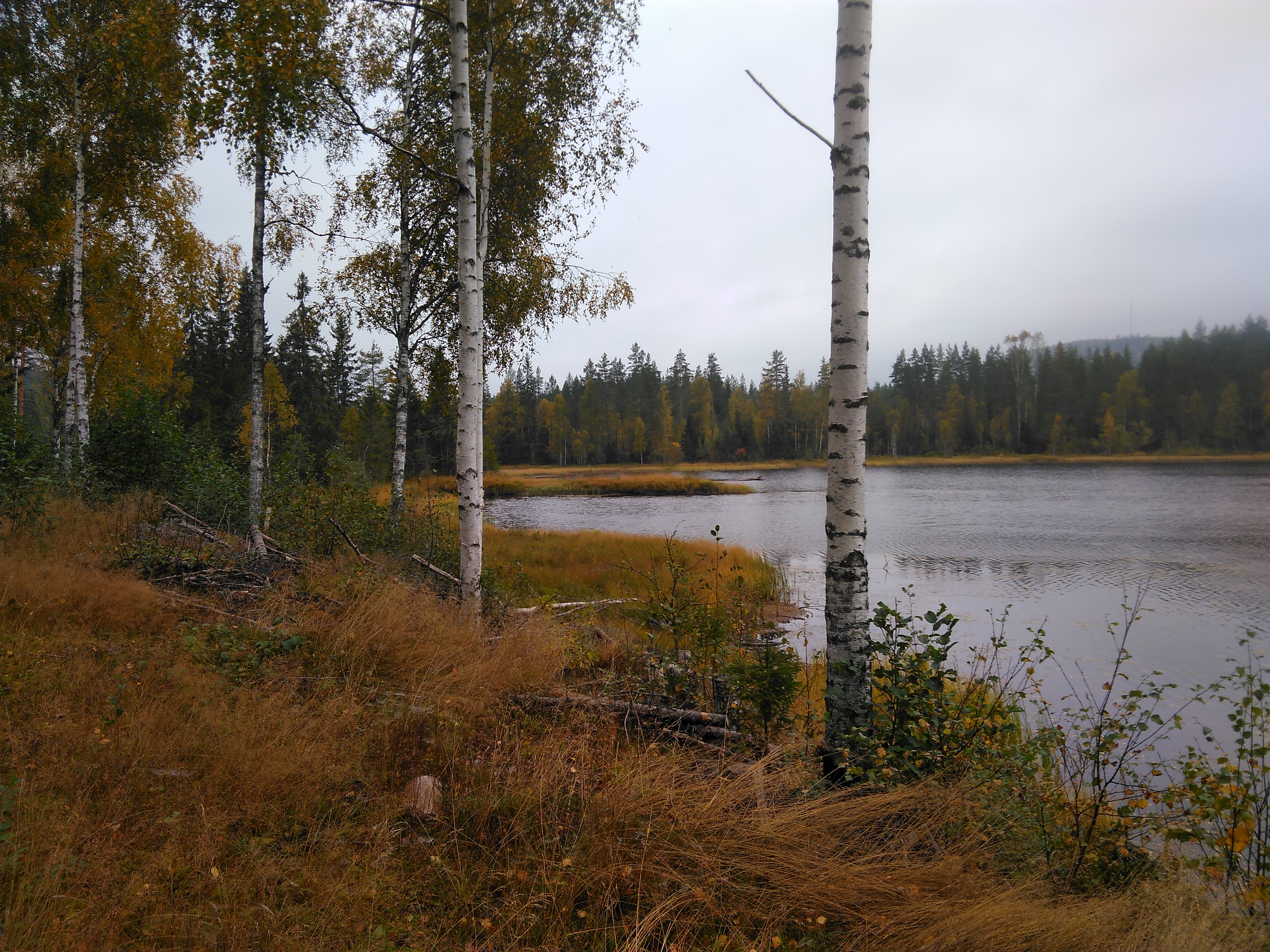 - image: 51
