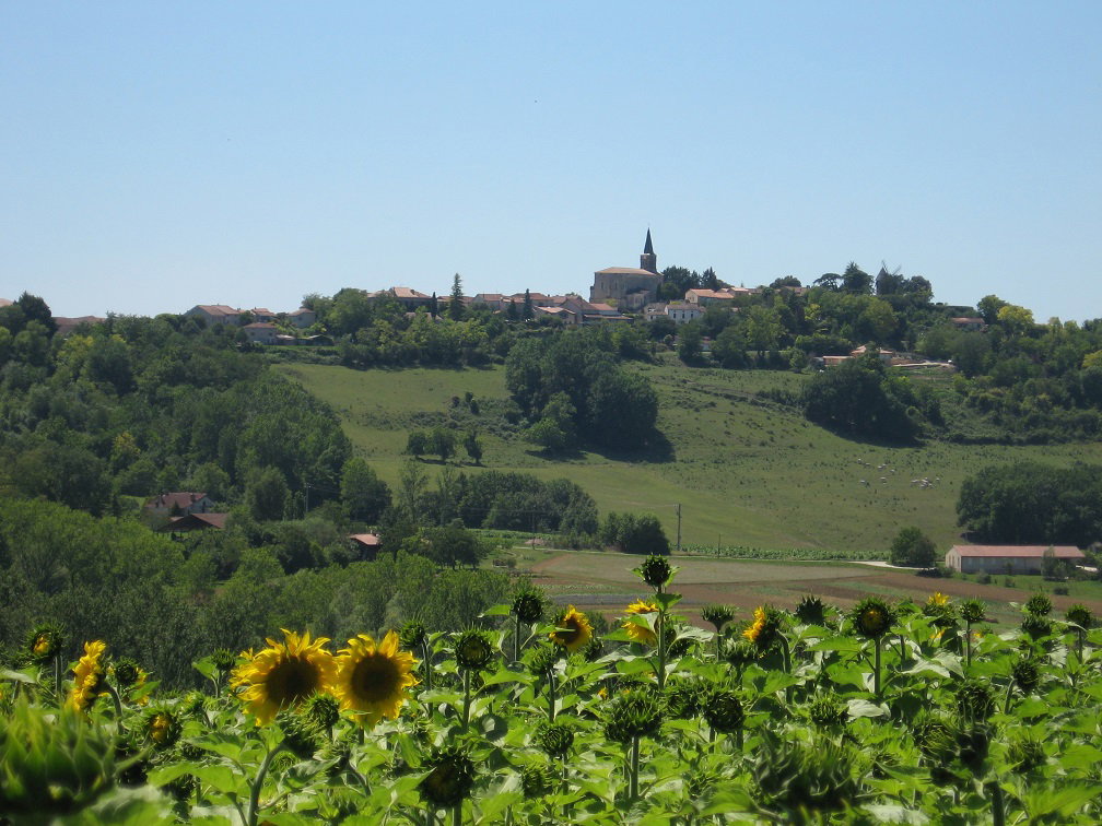 - image: 23