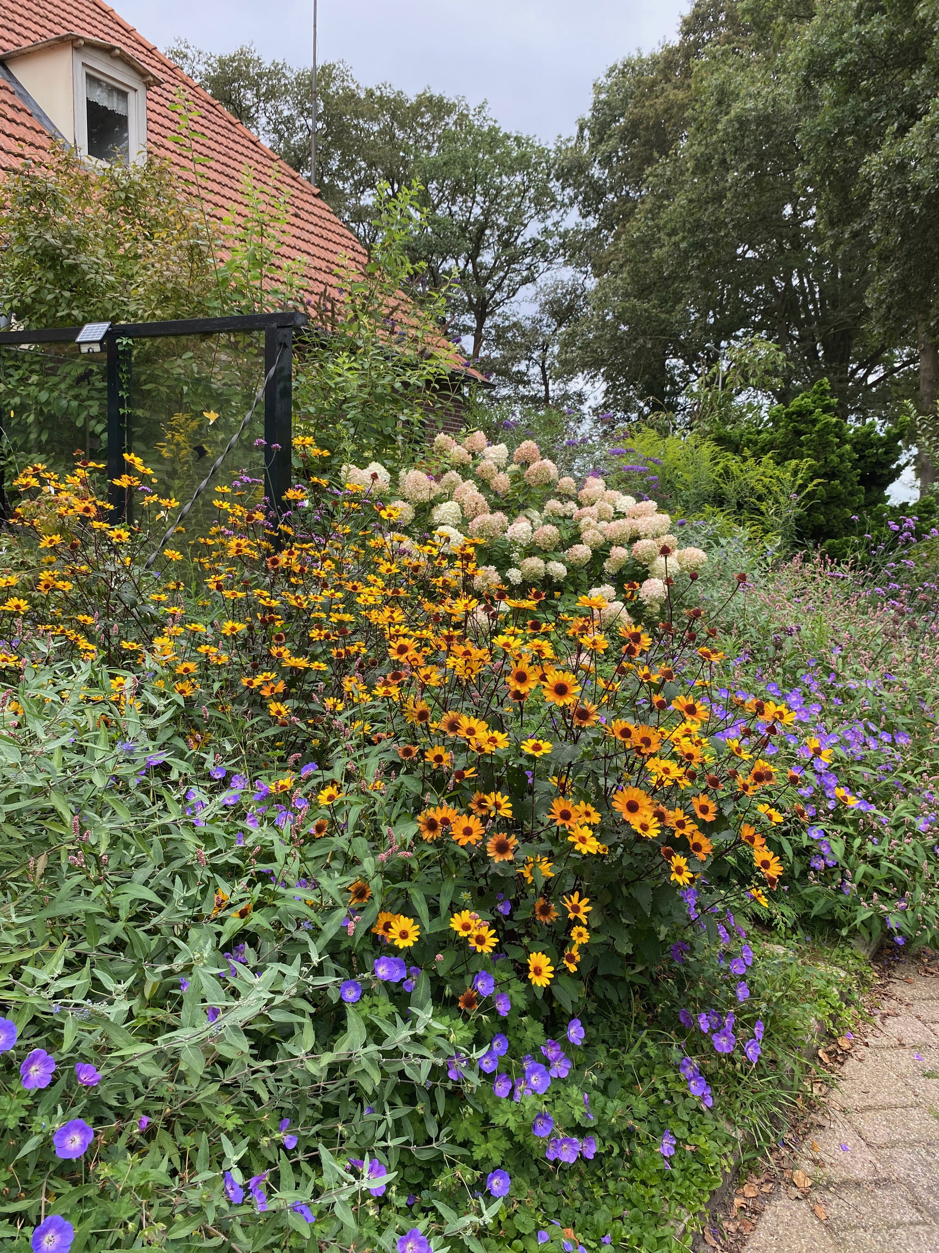Naturhäuschen in Laren