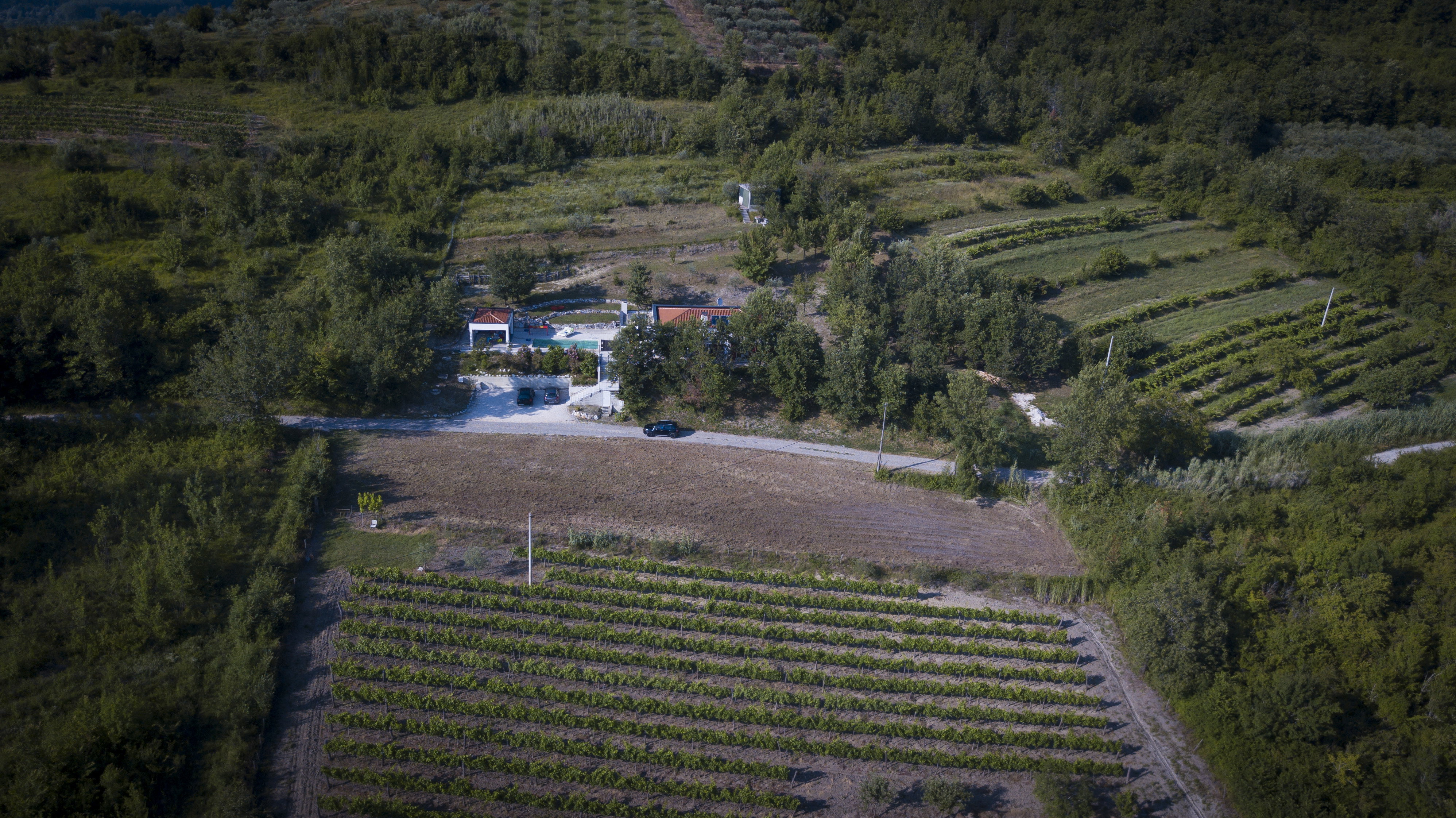Natuurhuisje in ISTRIA MOTOVUN
