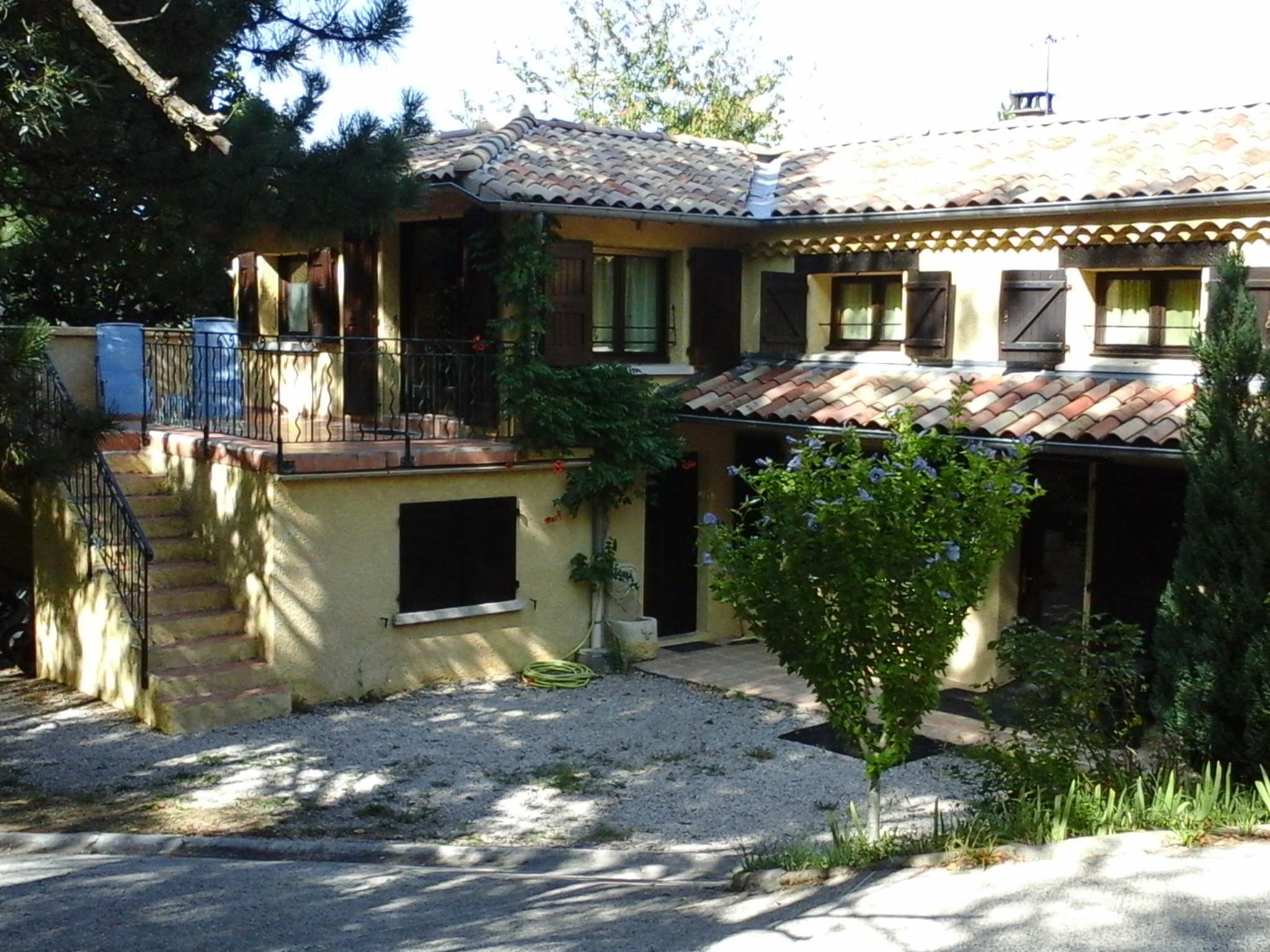 - image: 12