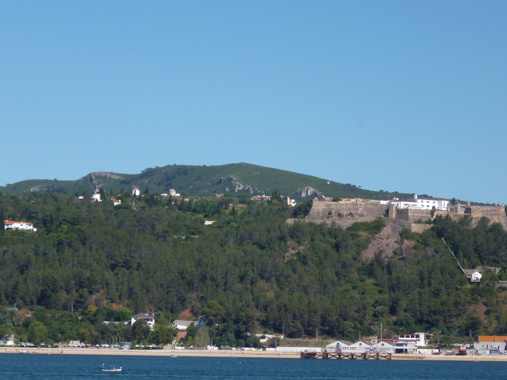 - image: 43