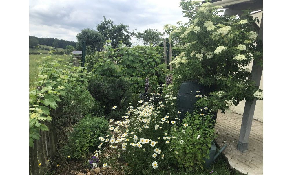 Maison nature à Lanty
