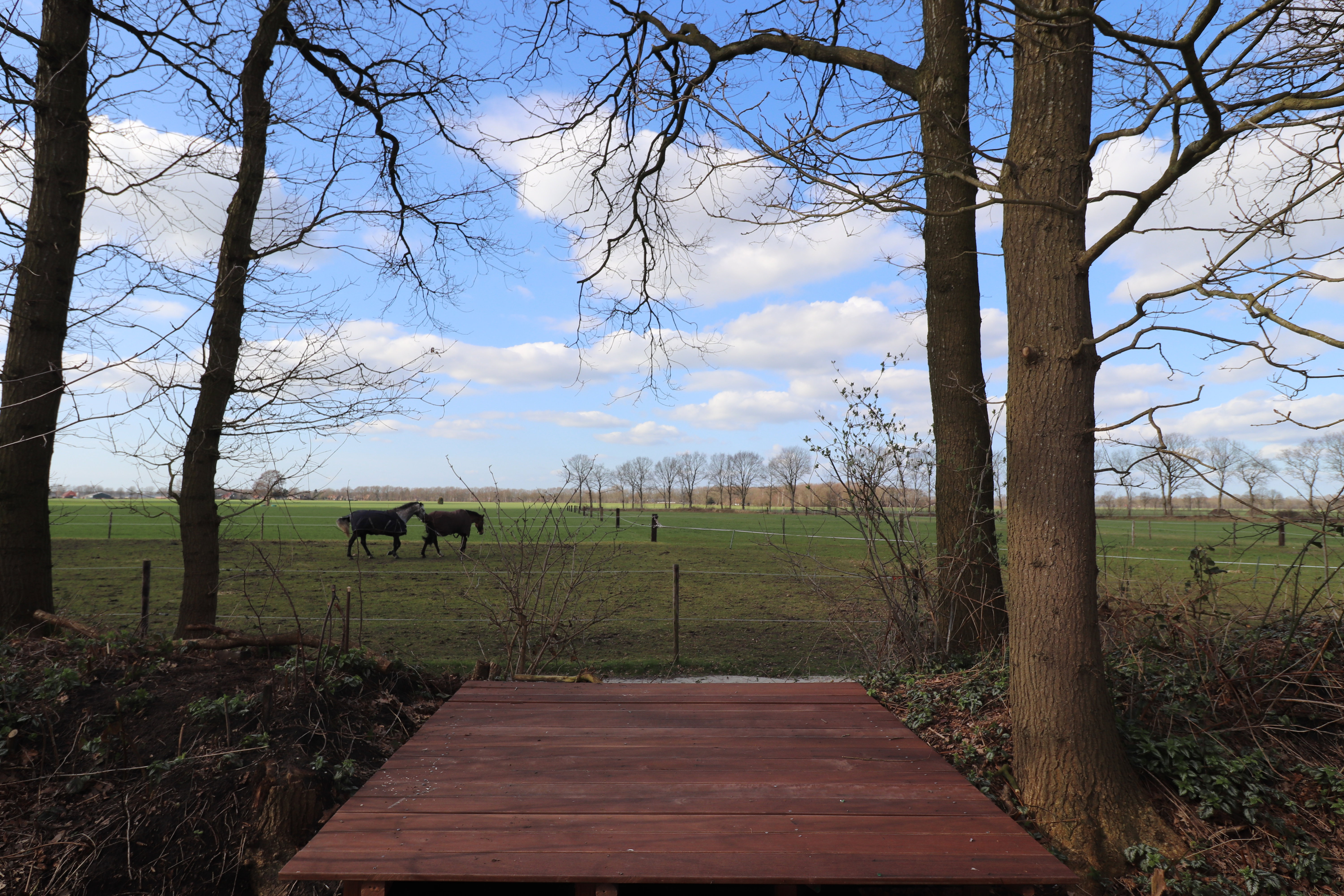Casa nella natura a Zorgvlied