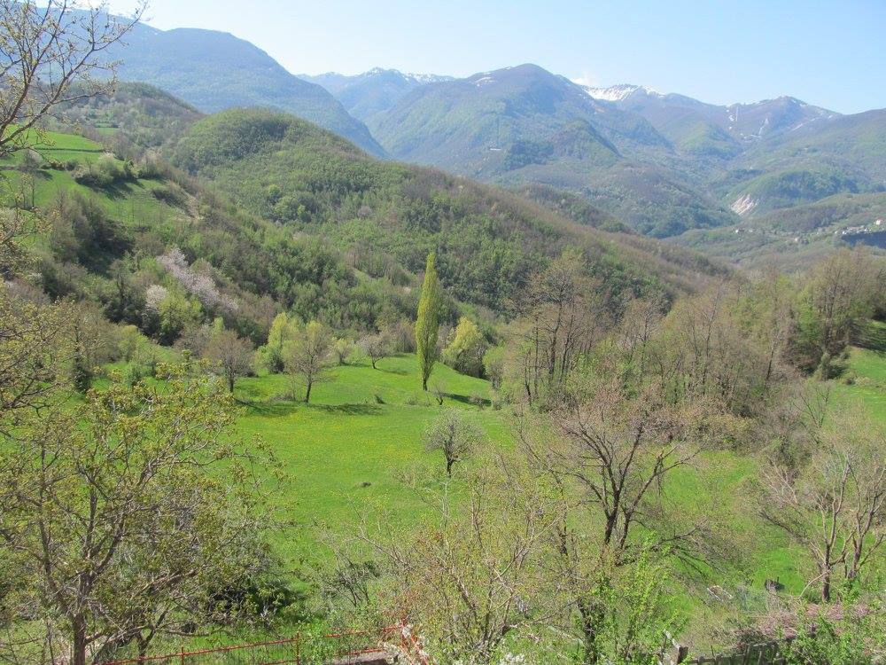- image: 23