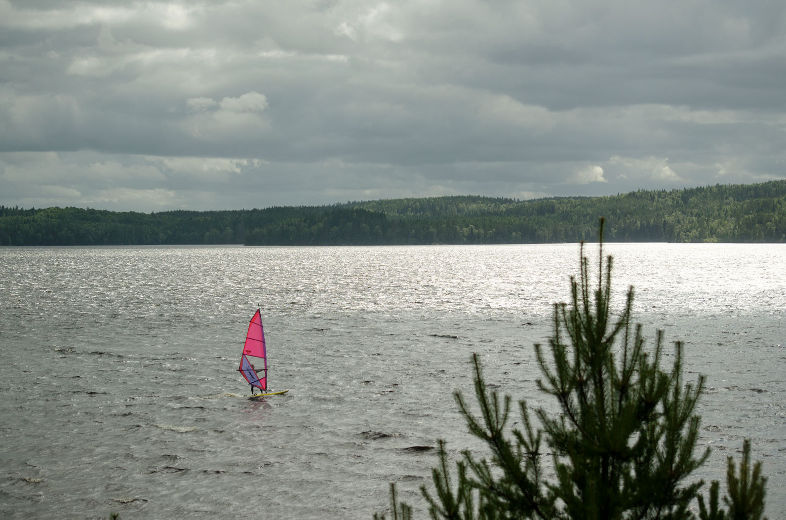 - image: 20