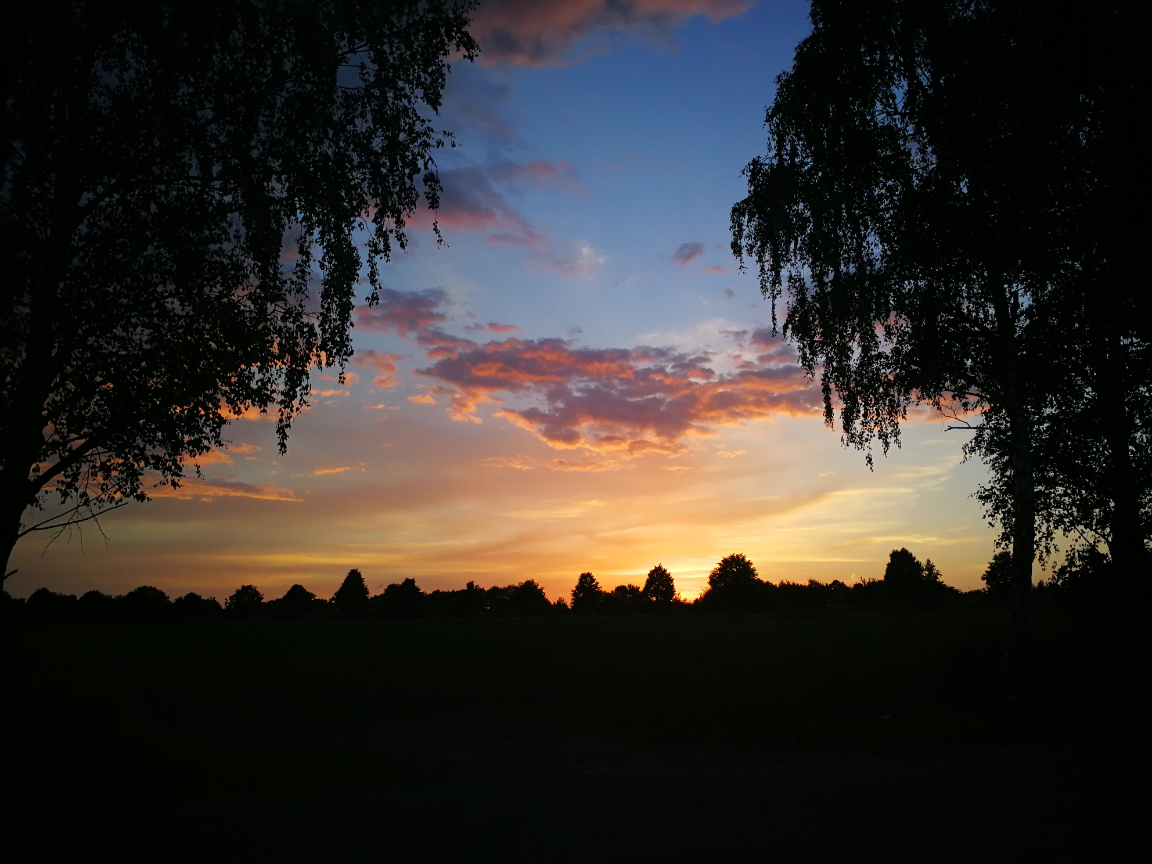 - image: 10