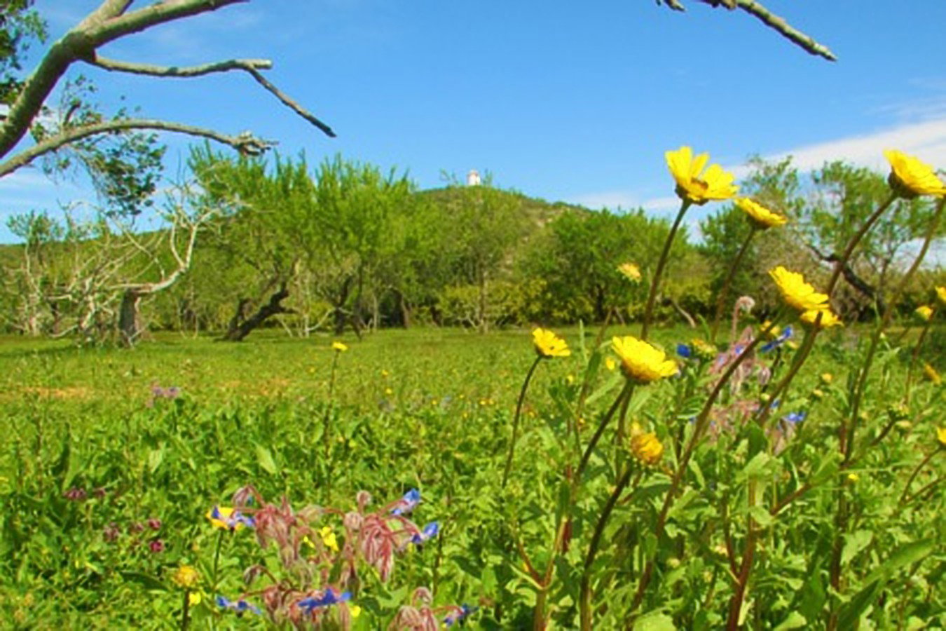 Naturhäuschen in Moncarapacho