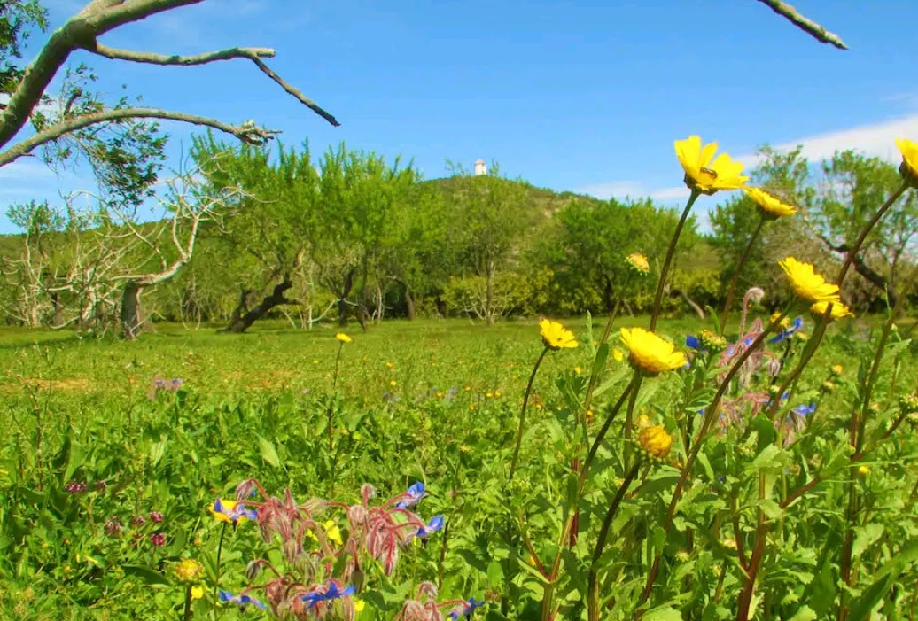 Naturhäuschen in Moncarapacho