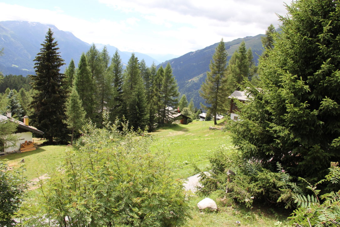 - image: 12