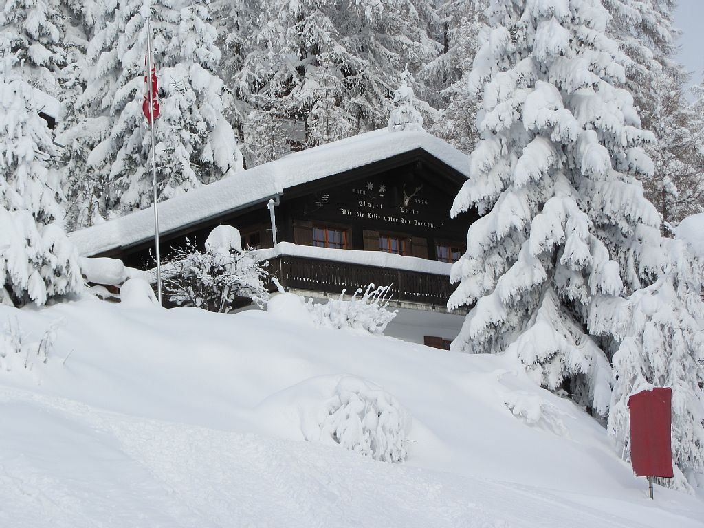 Naturhäuschen in bellwald