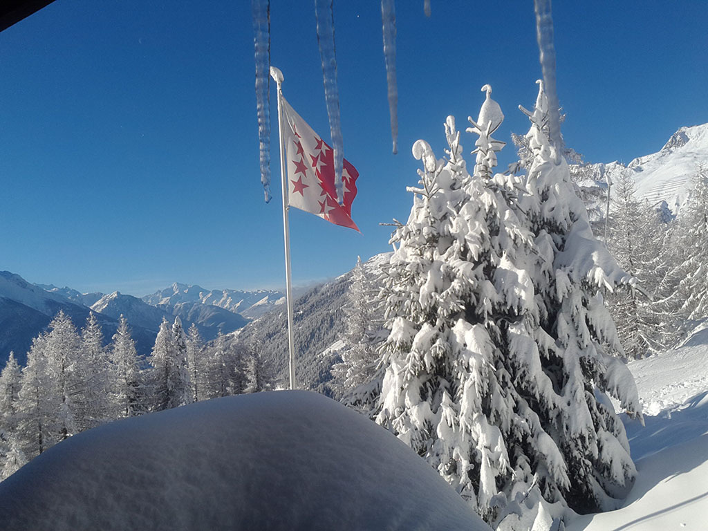Naturhäuschen in bellwald