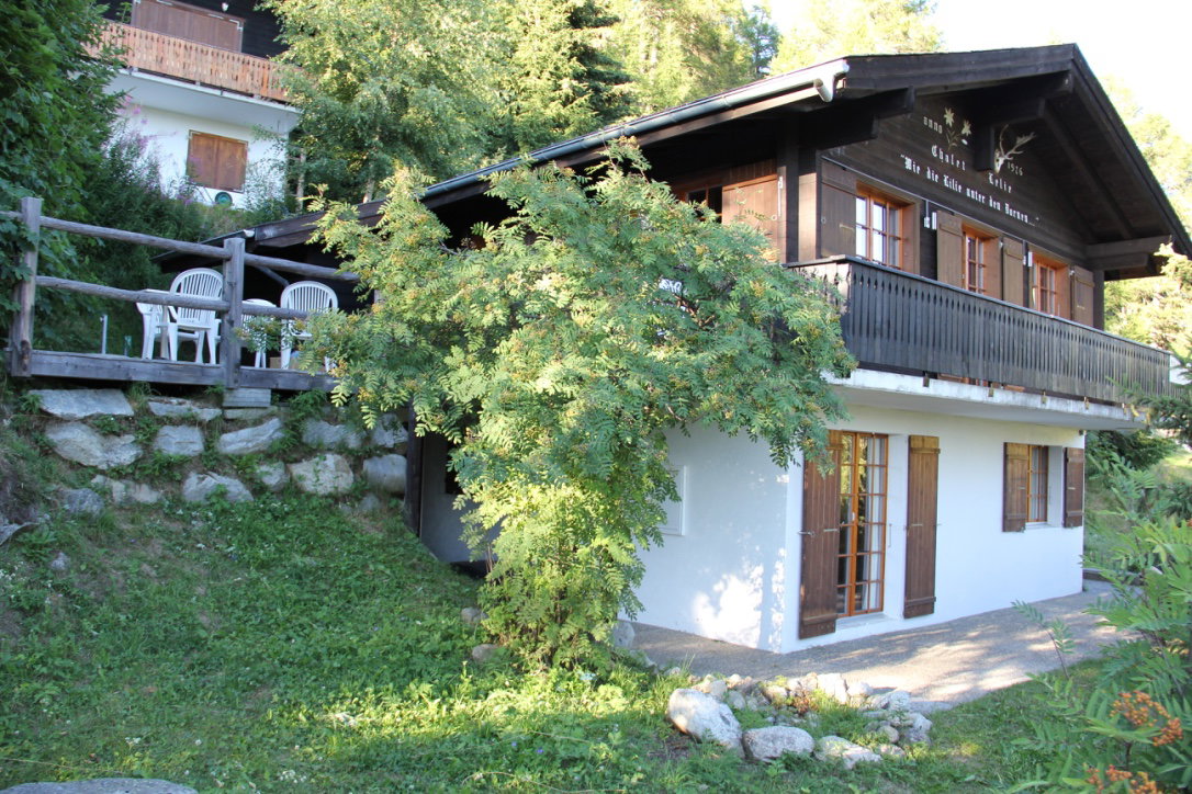 - image: 11