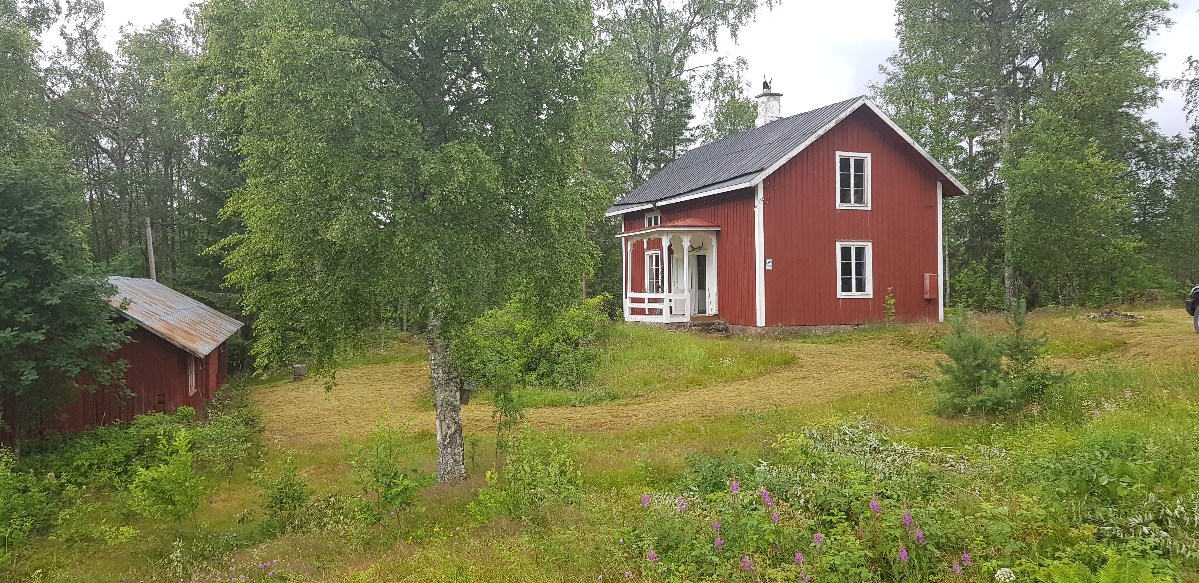 Natuurhuisje in sweden