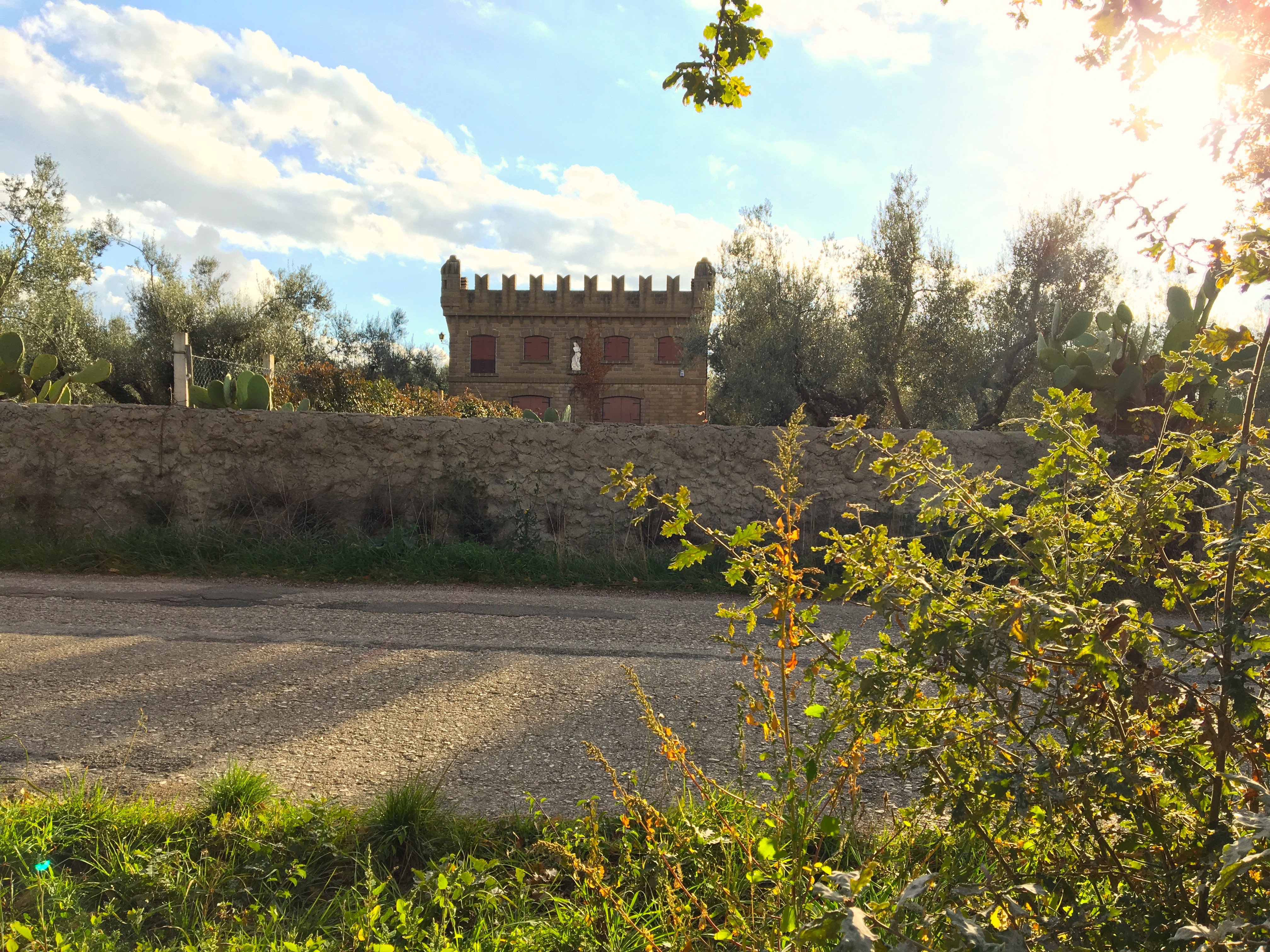 Casa nella natura a Vetralla
