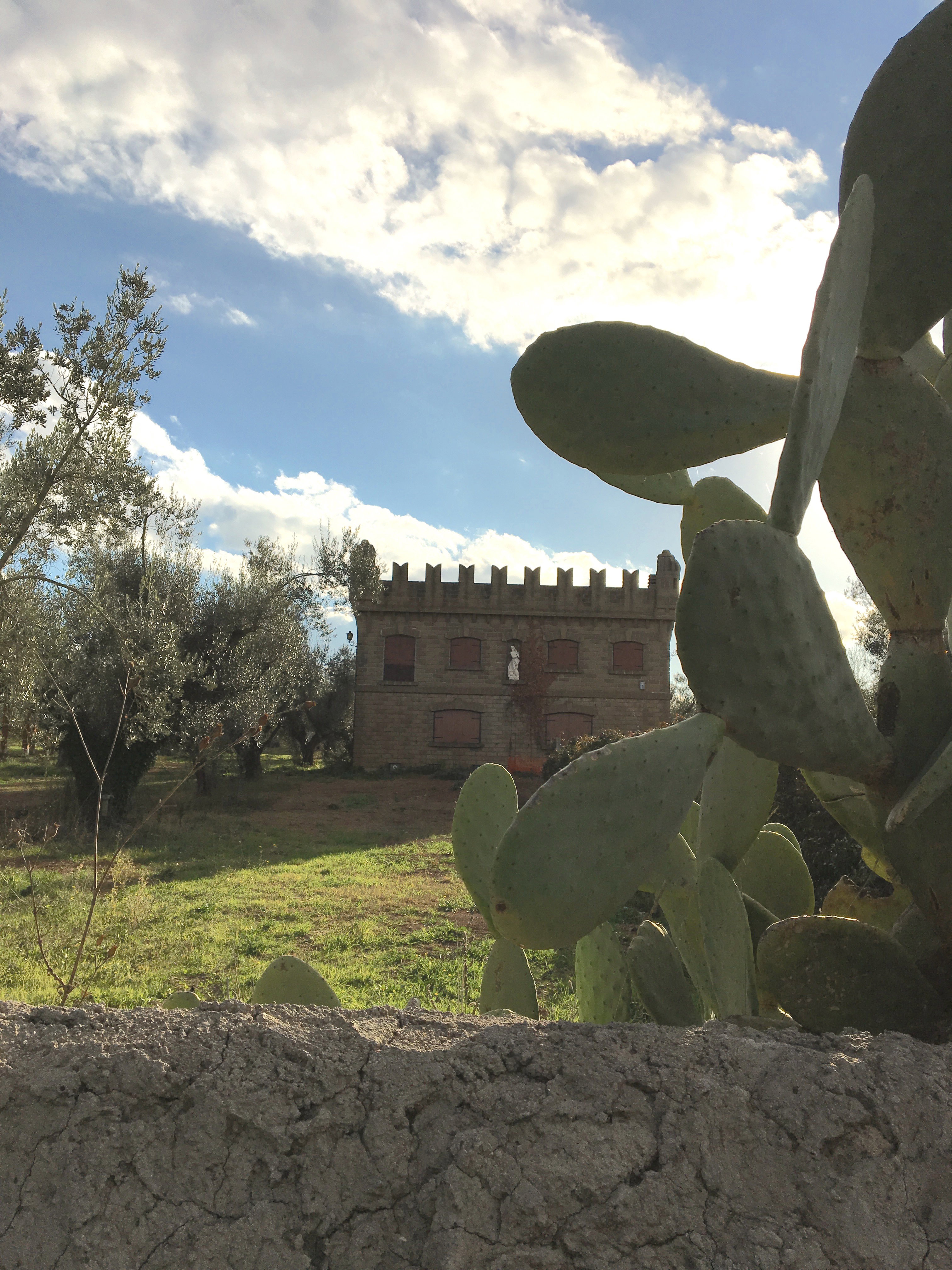 Casa nella natura a Vetralla