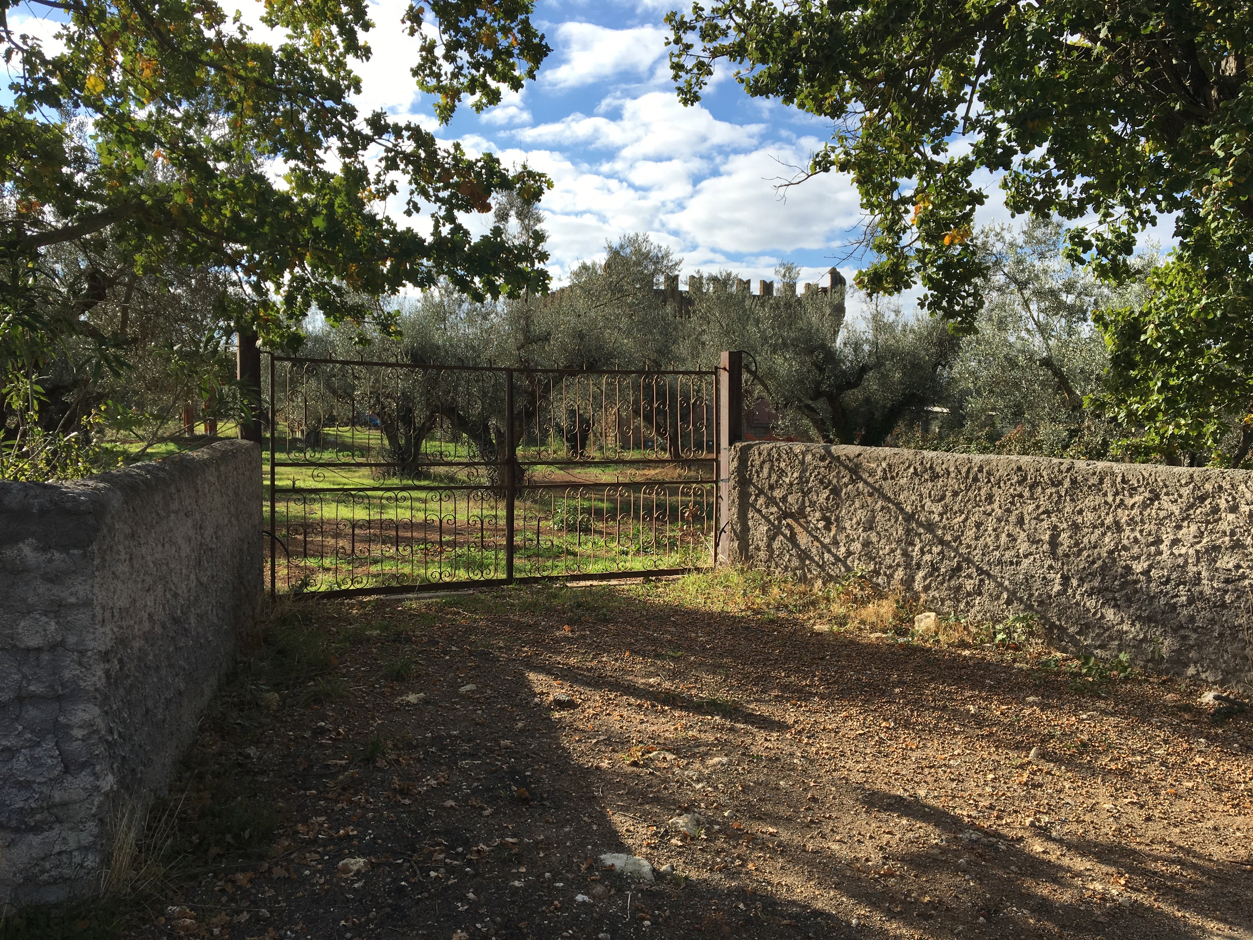 Casa nella natura a Vetralla