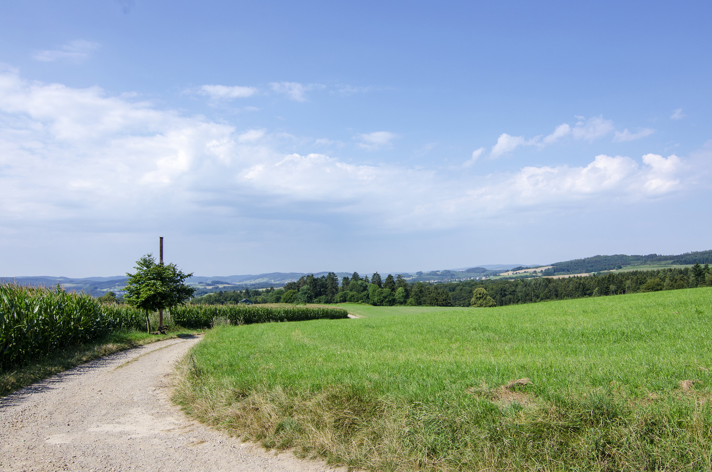 - image: 44