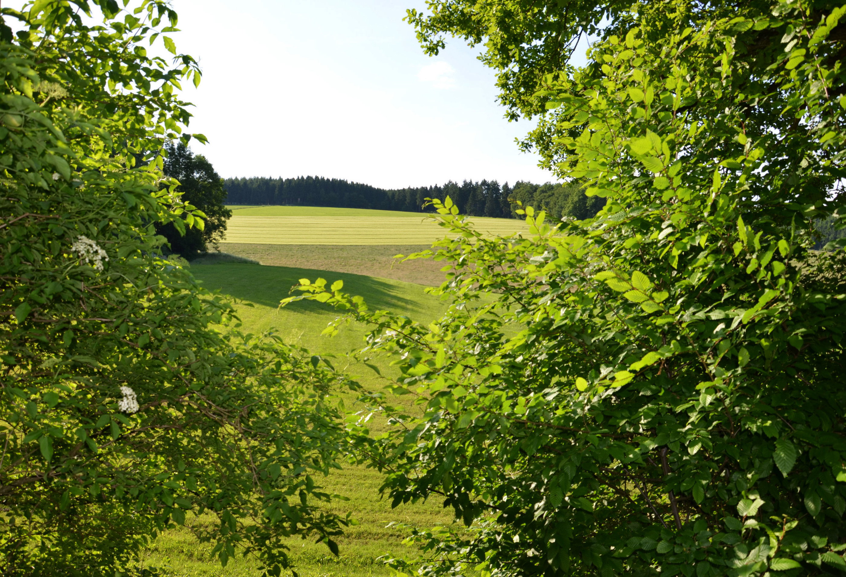 - image: 22