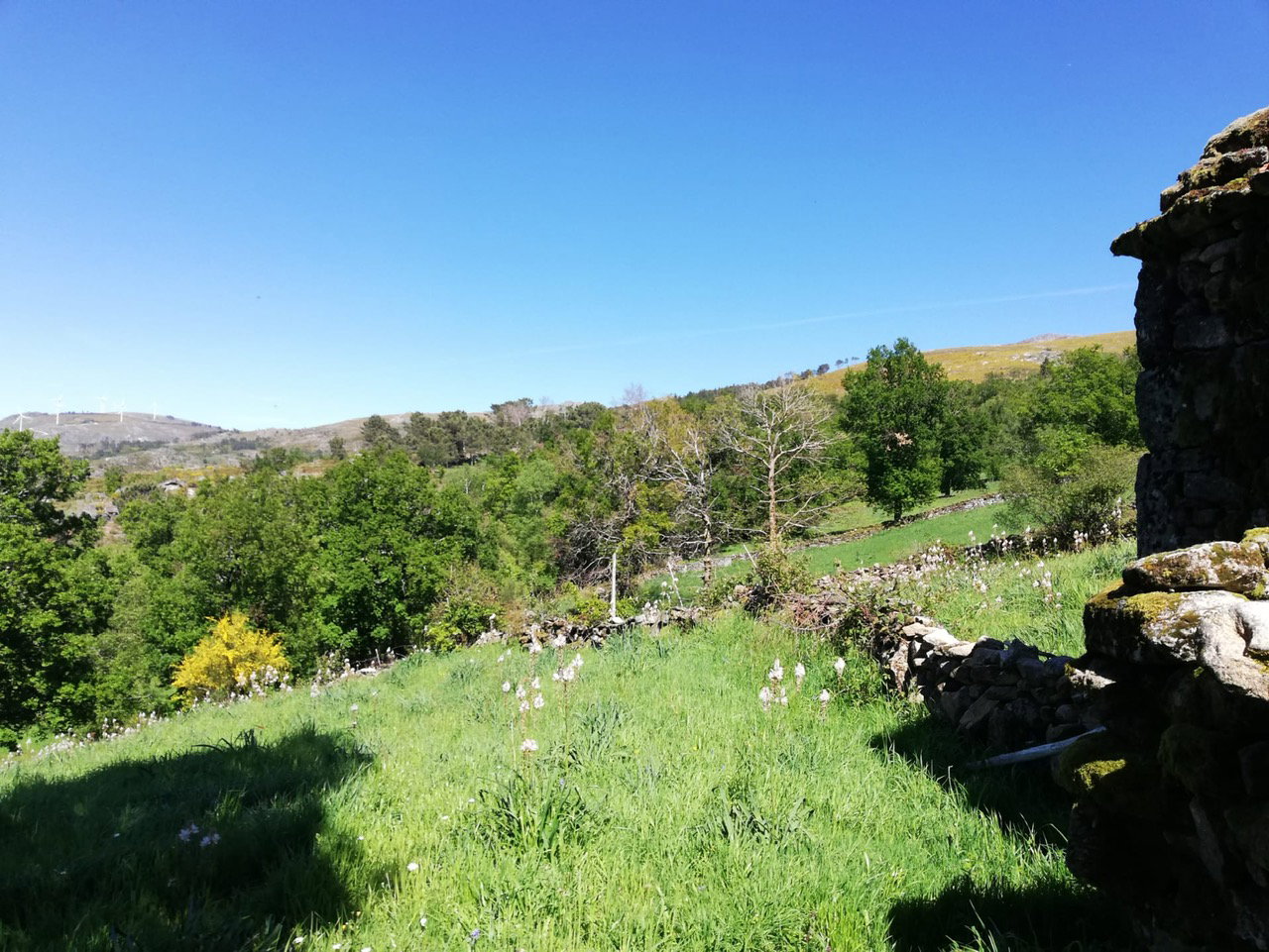 - image: 23