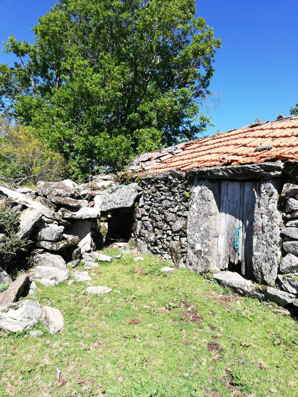 - image: 20