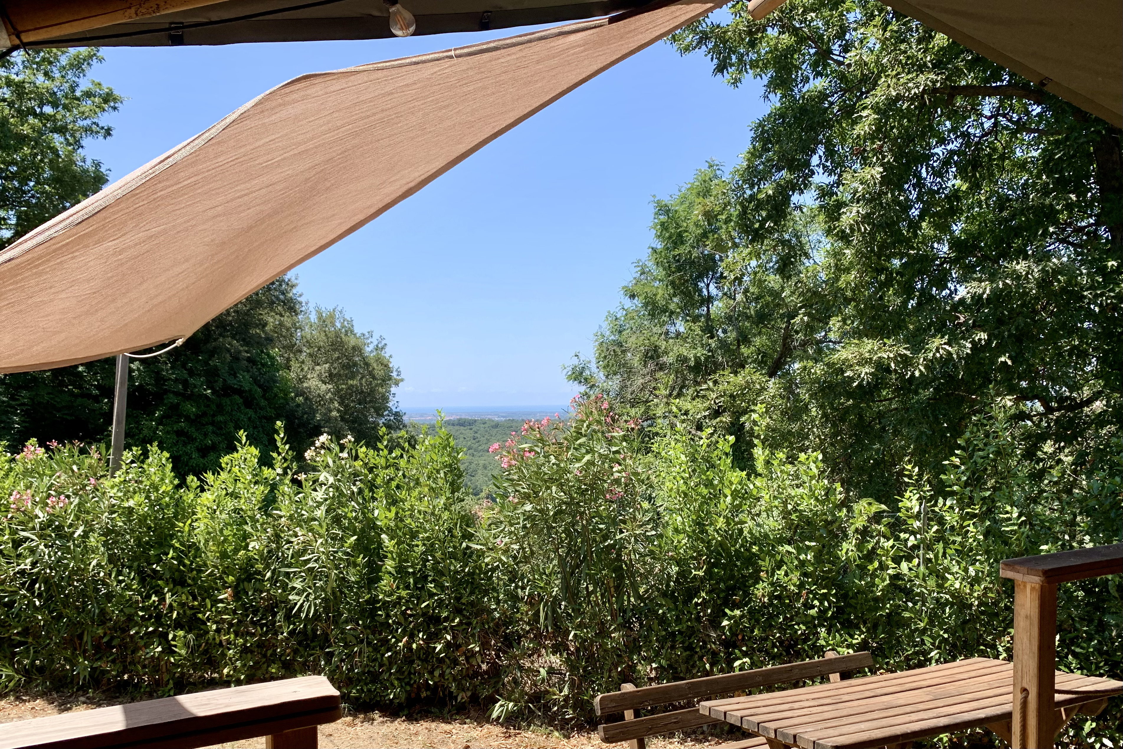 Natuurhuisje in Montescudaio