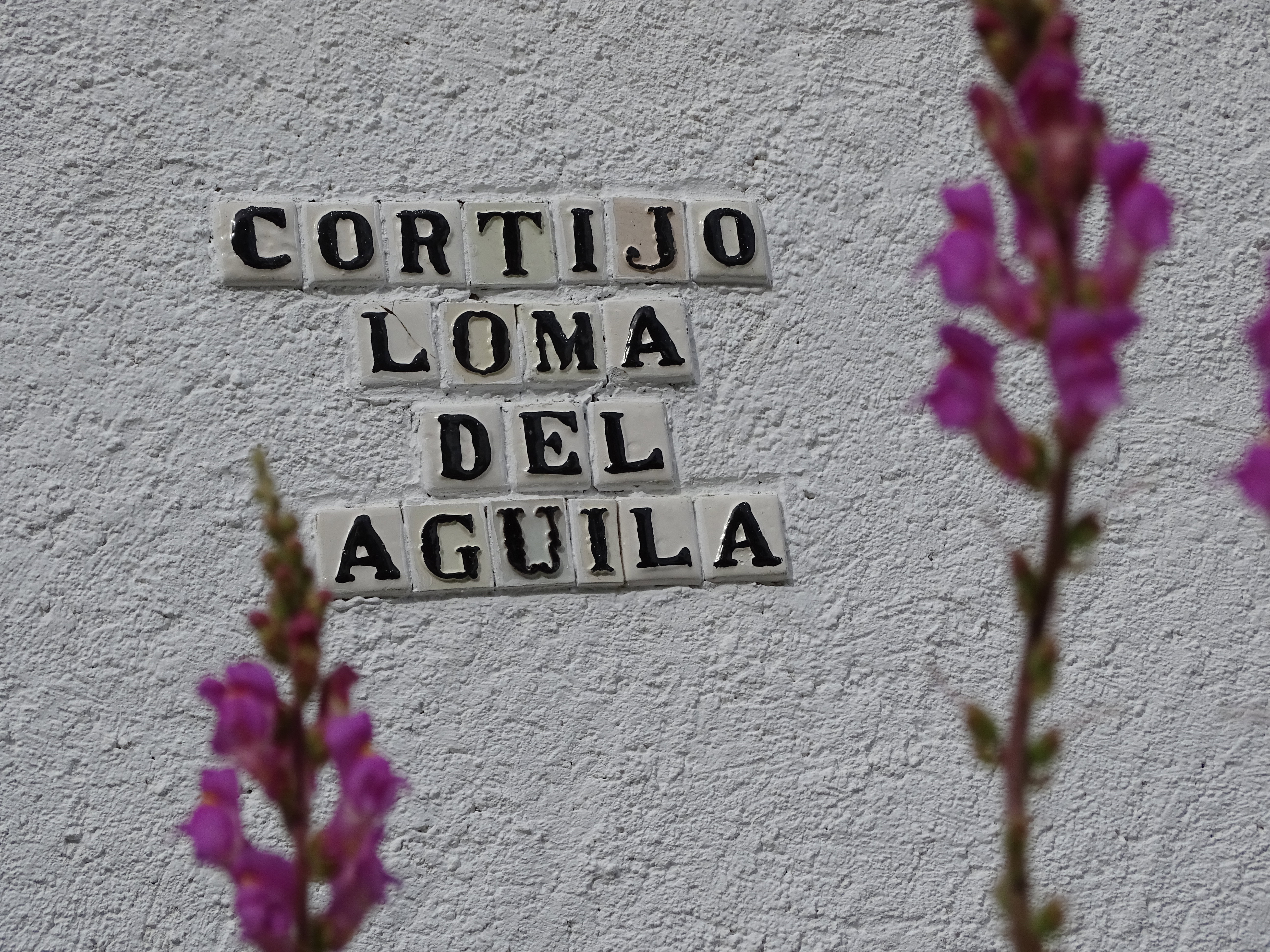 - image: 20