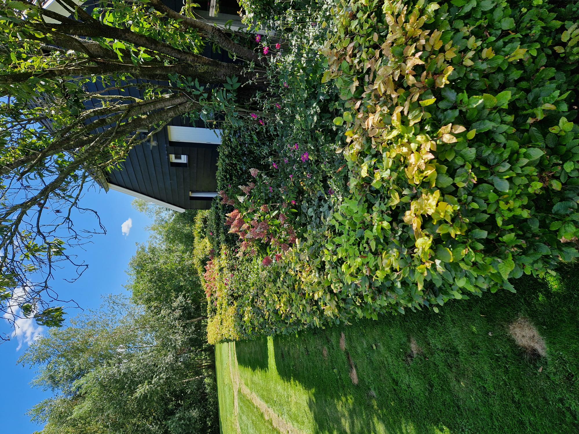 Casa nella natura a Harfsen