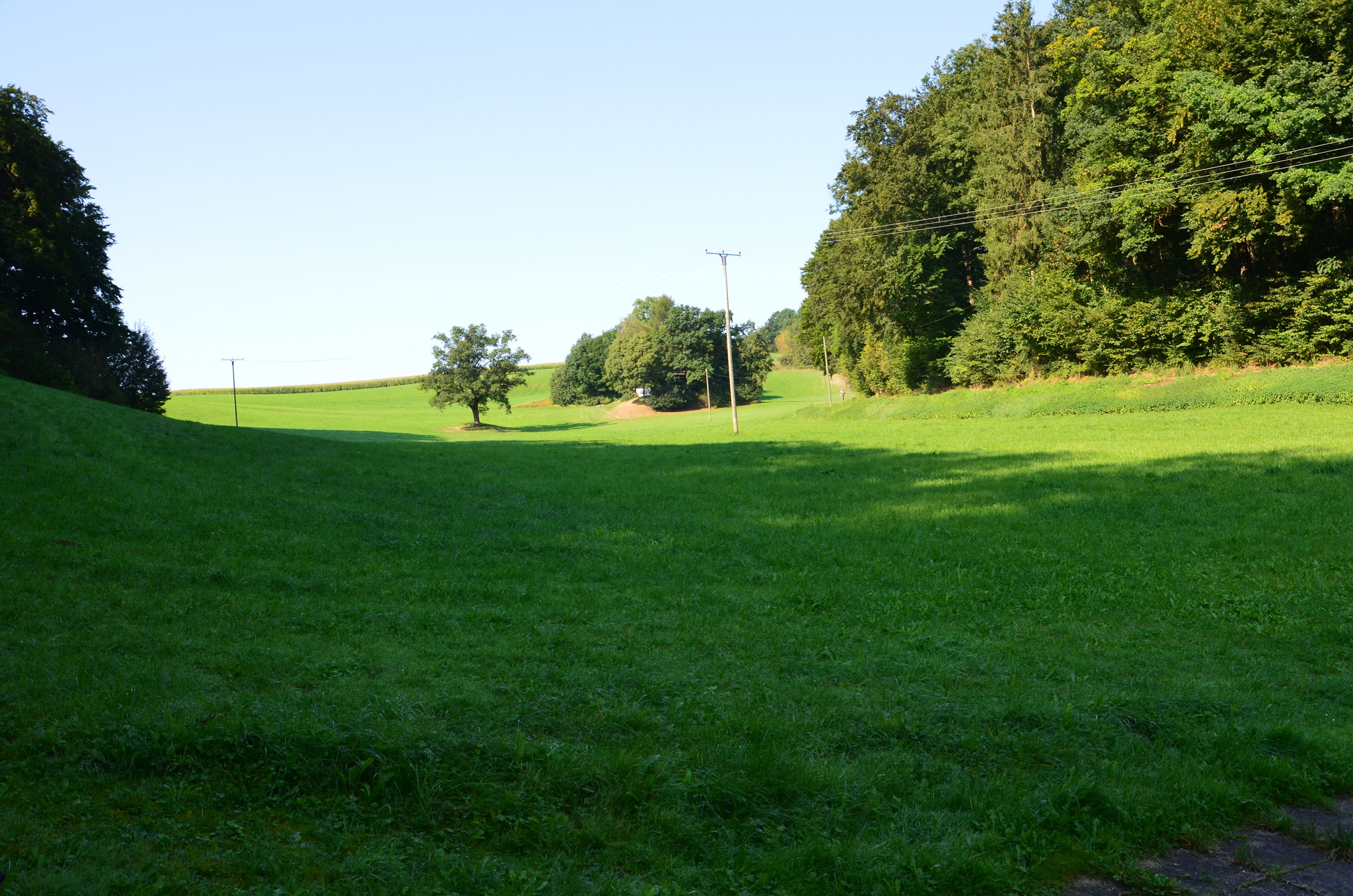- image: 12