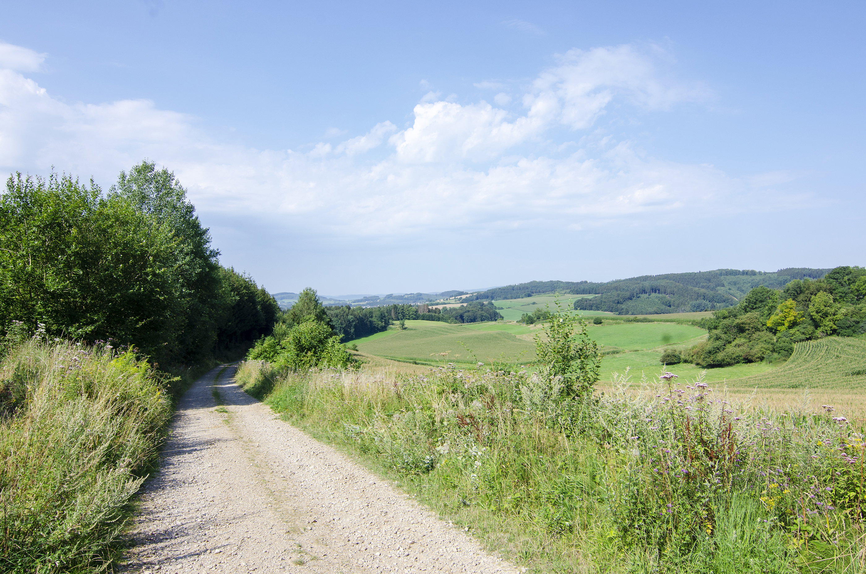 - image: 29