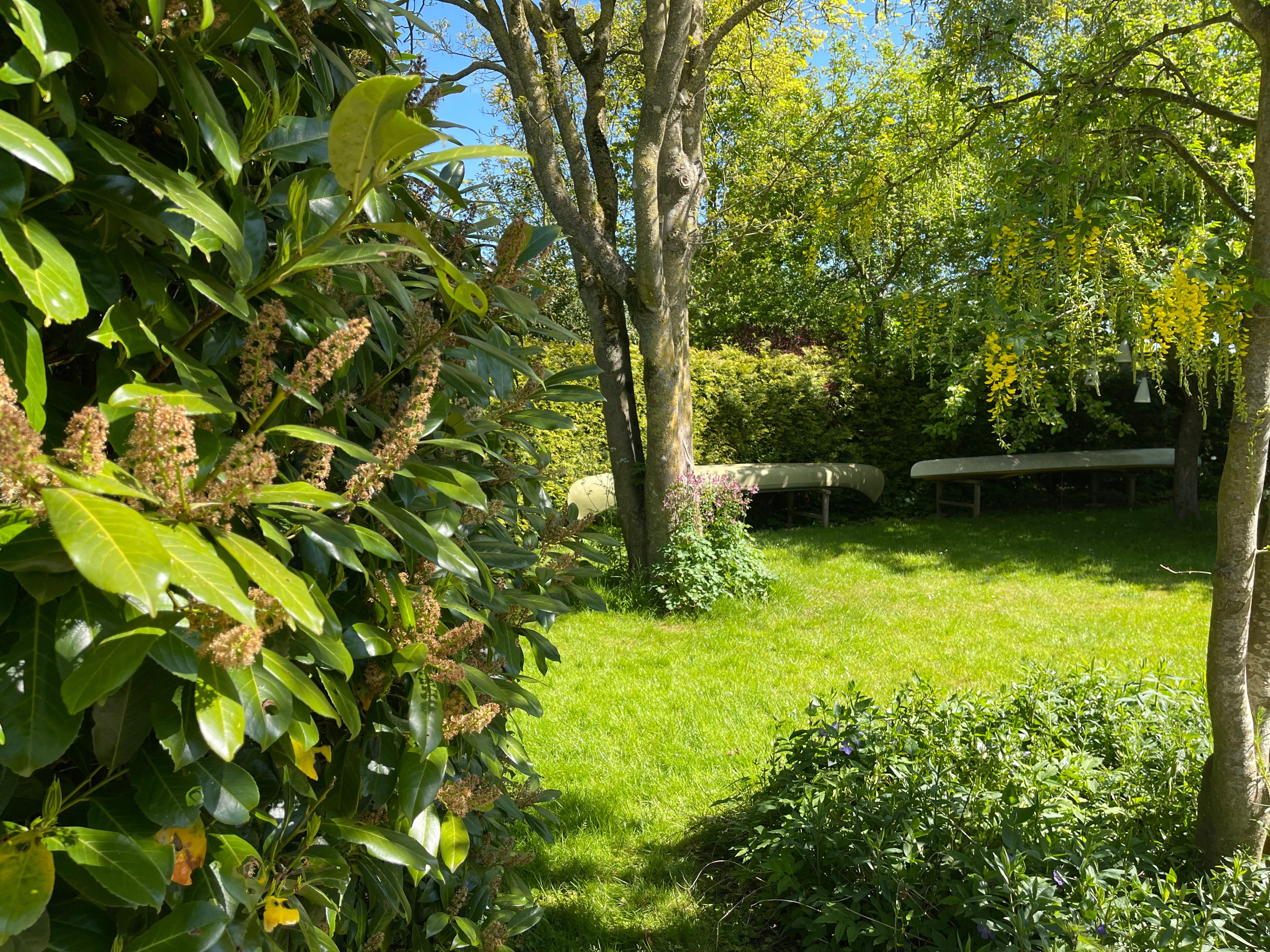 Natuurhuisje in Stiens