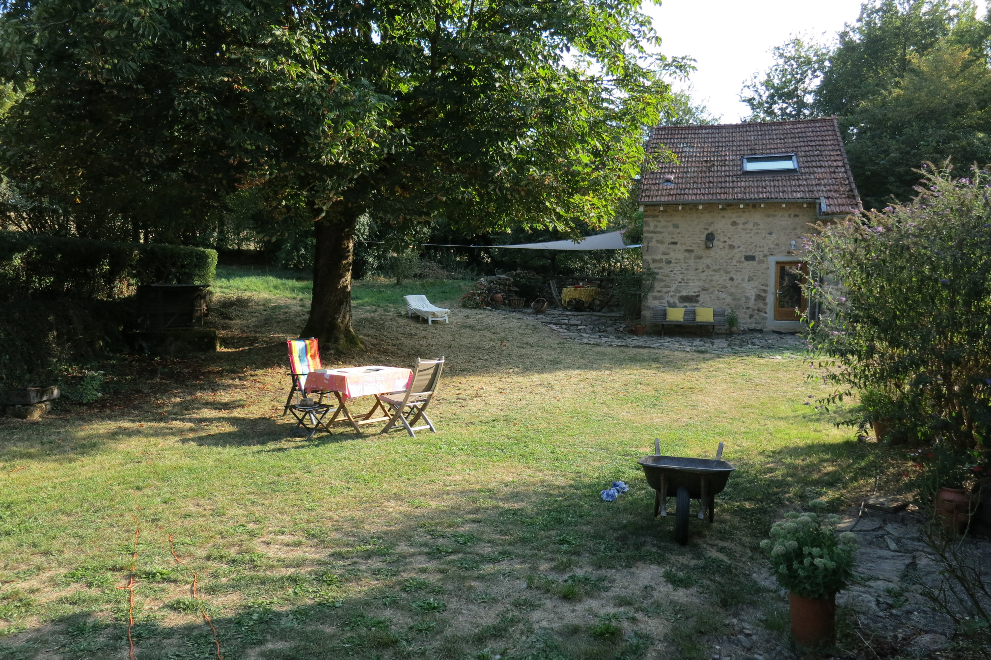- image: 13