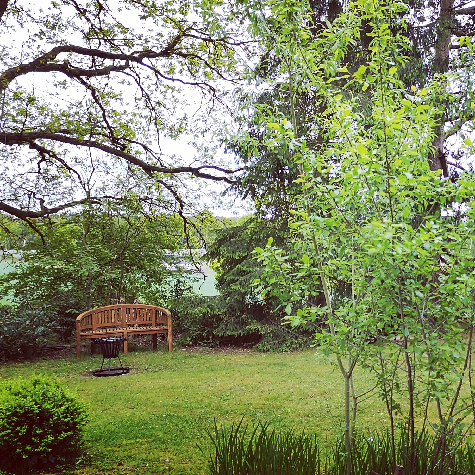 - image: 2
