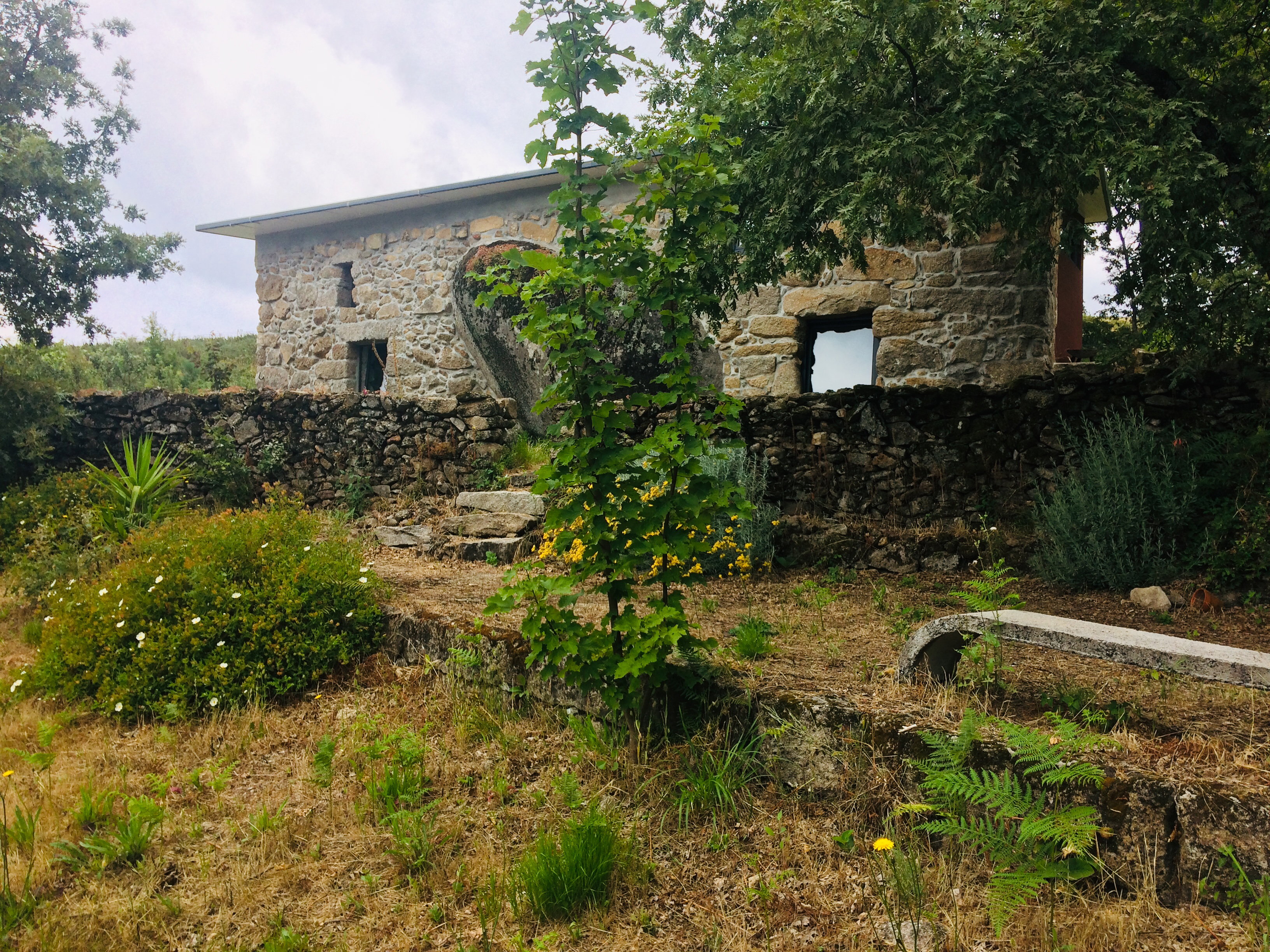 Naturhäuschen in quinta das lavras
