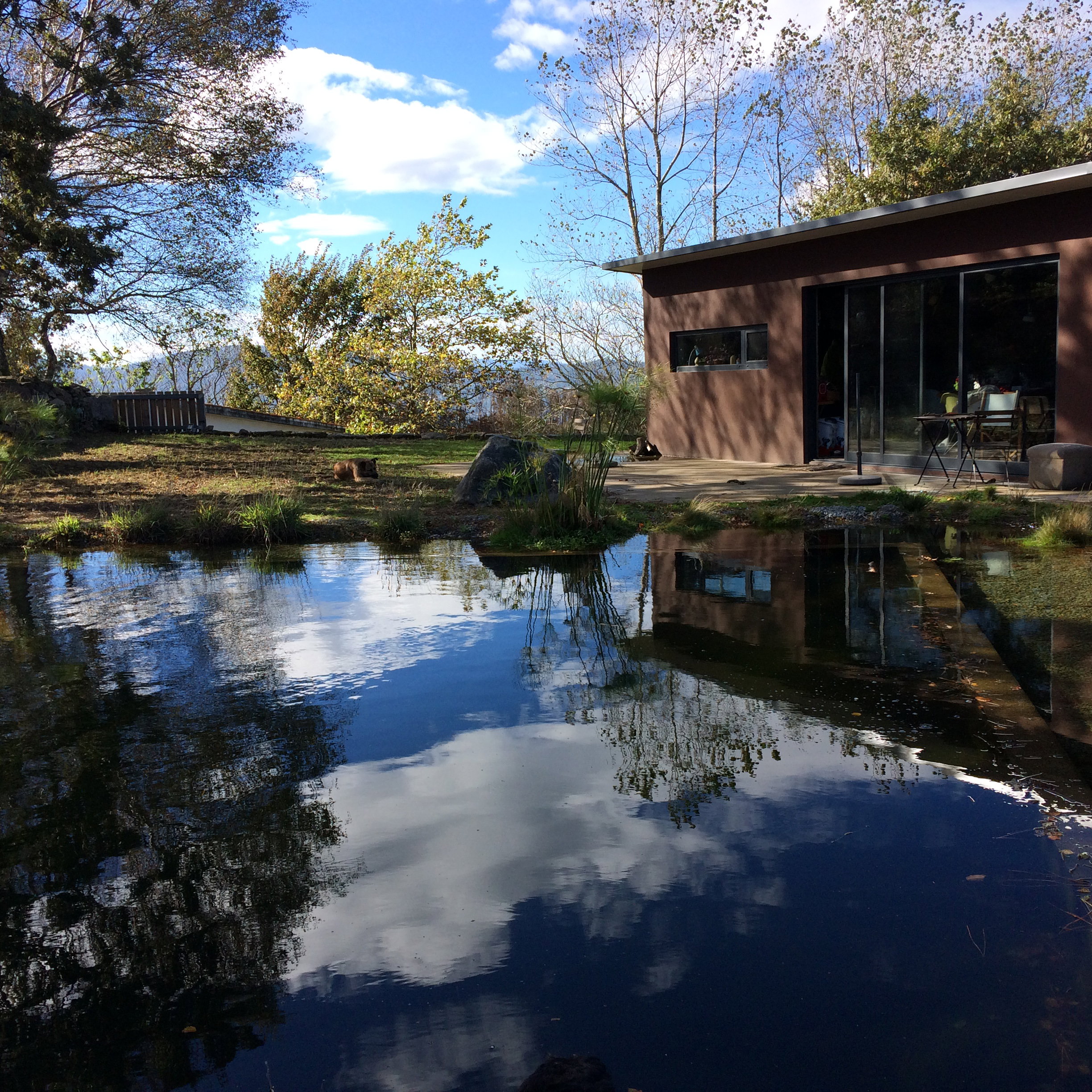 Naturhäuschen in quinta das lavras