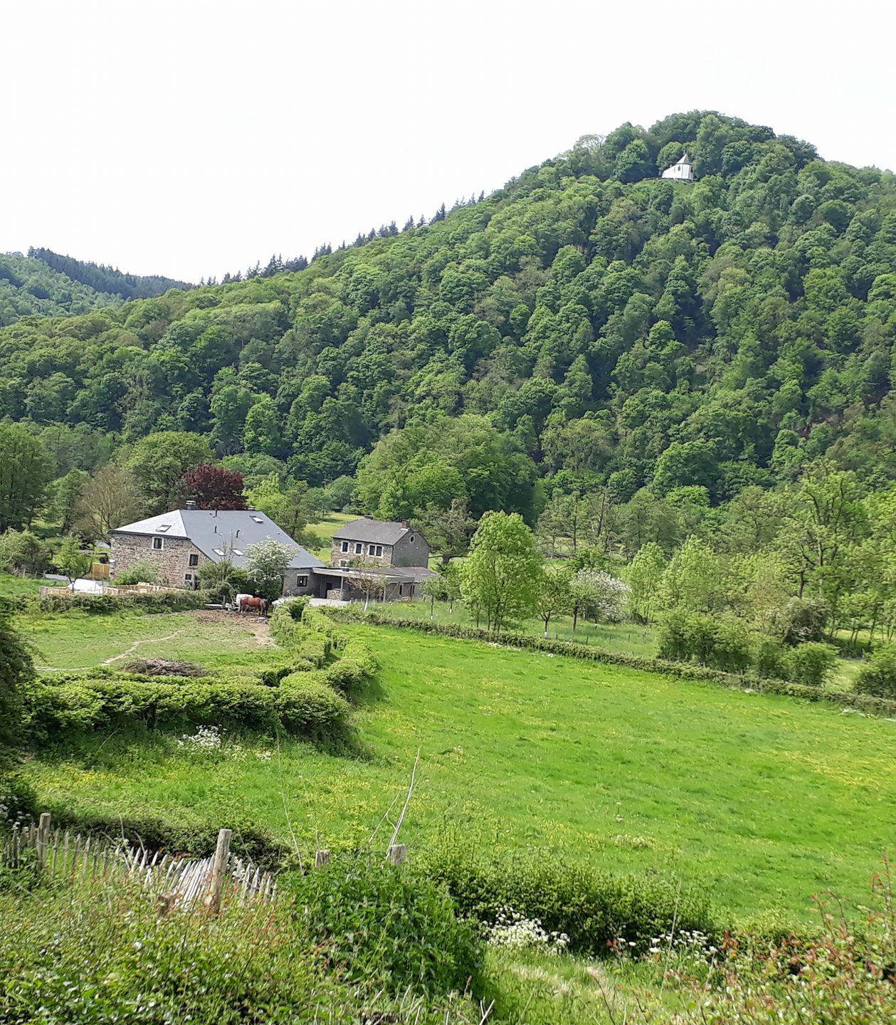 - image: 1