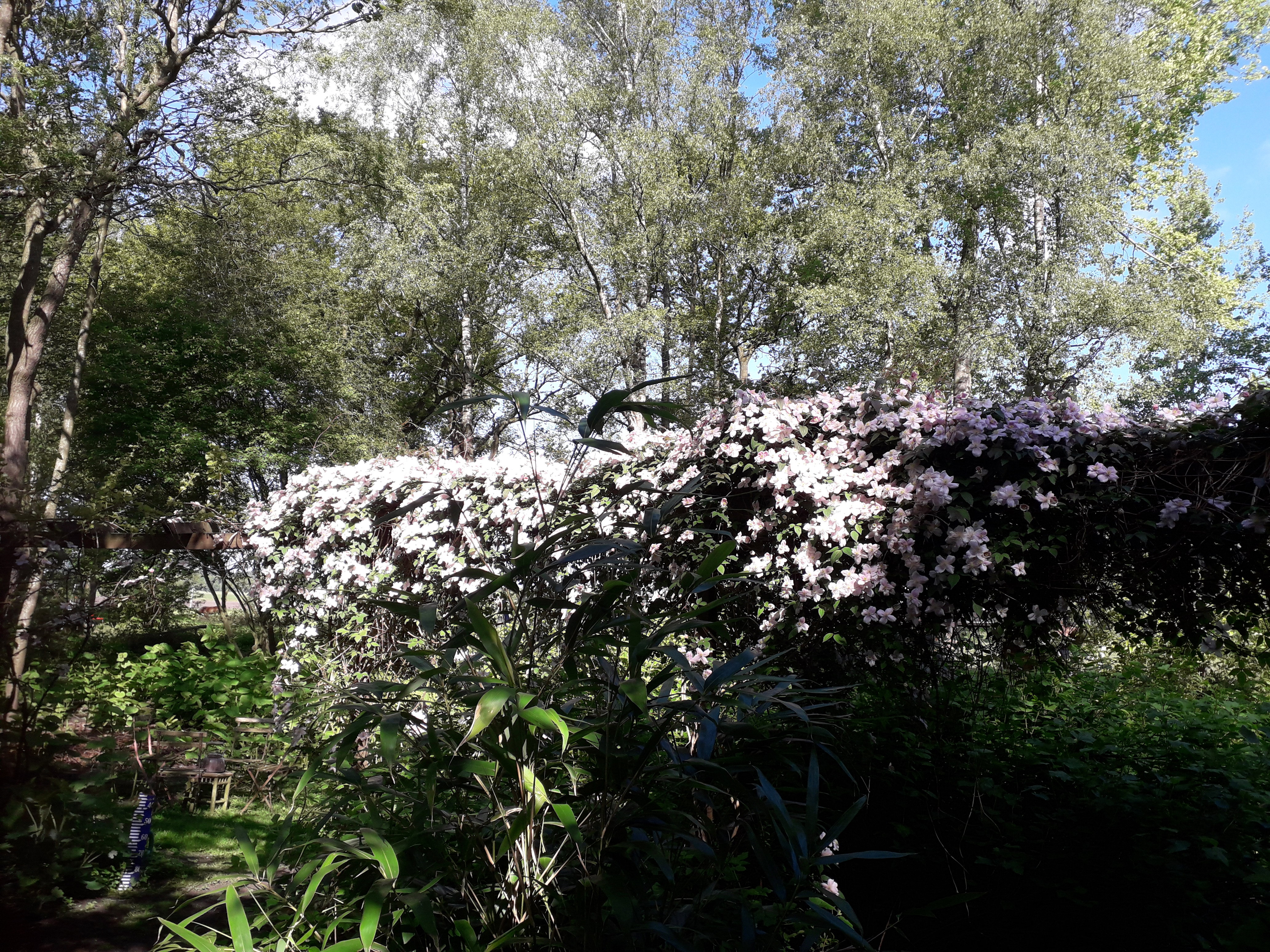 Natuurhuisje in Huis ter Heide(Dr.)
