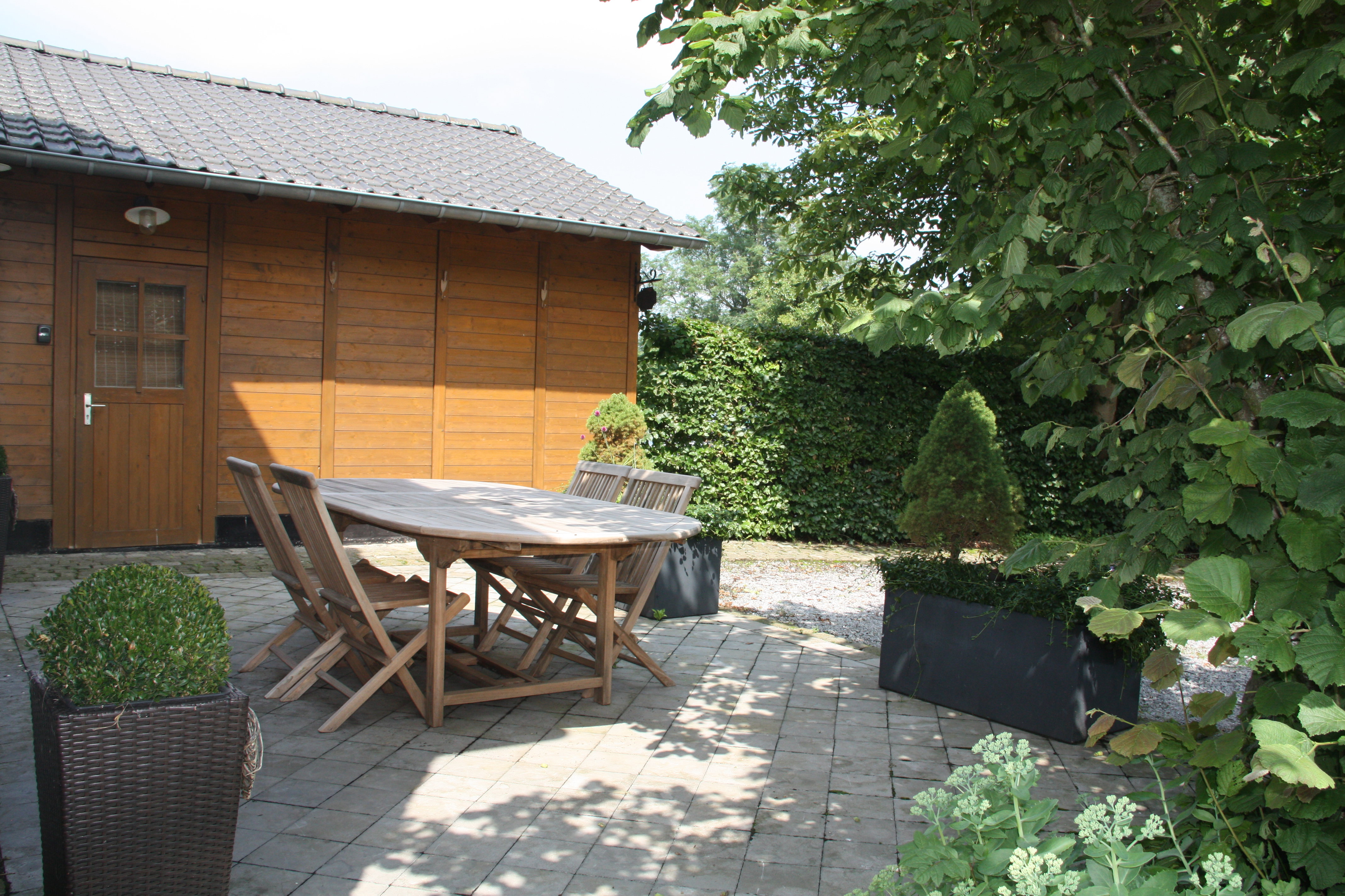 - image: 12