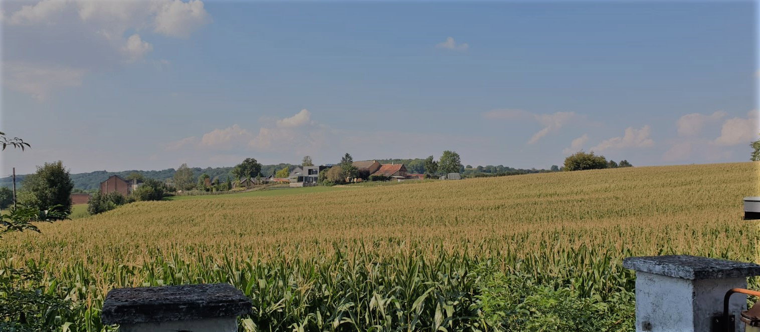 - image: 13