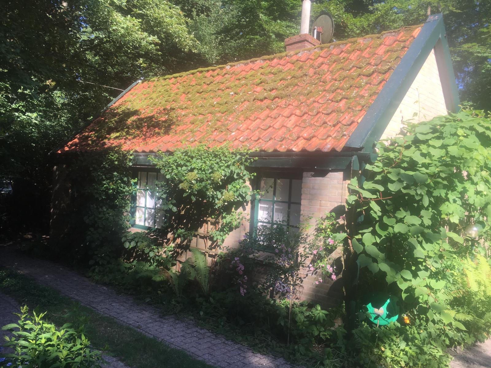 Maison nature à Hulshorst