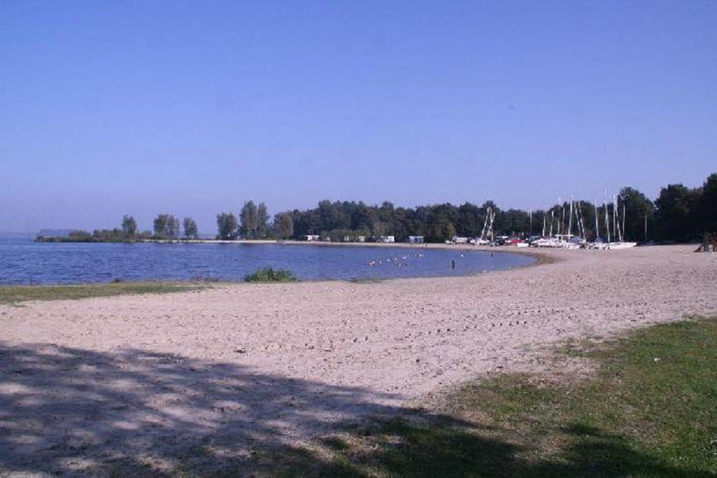 - image: 13