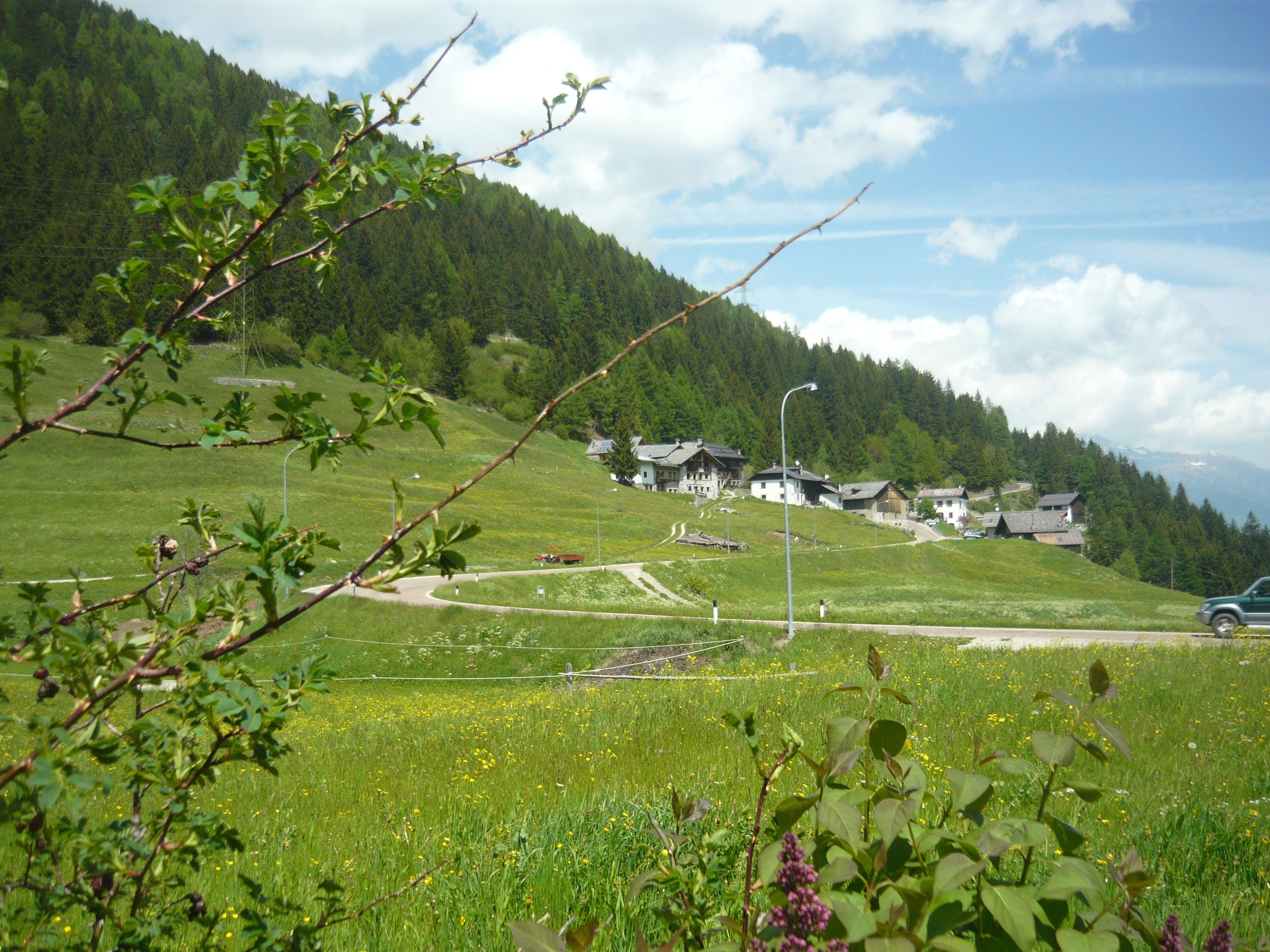 Maison nature à vermiglio
