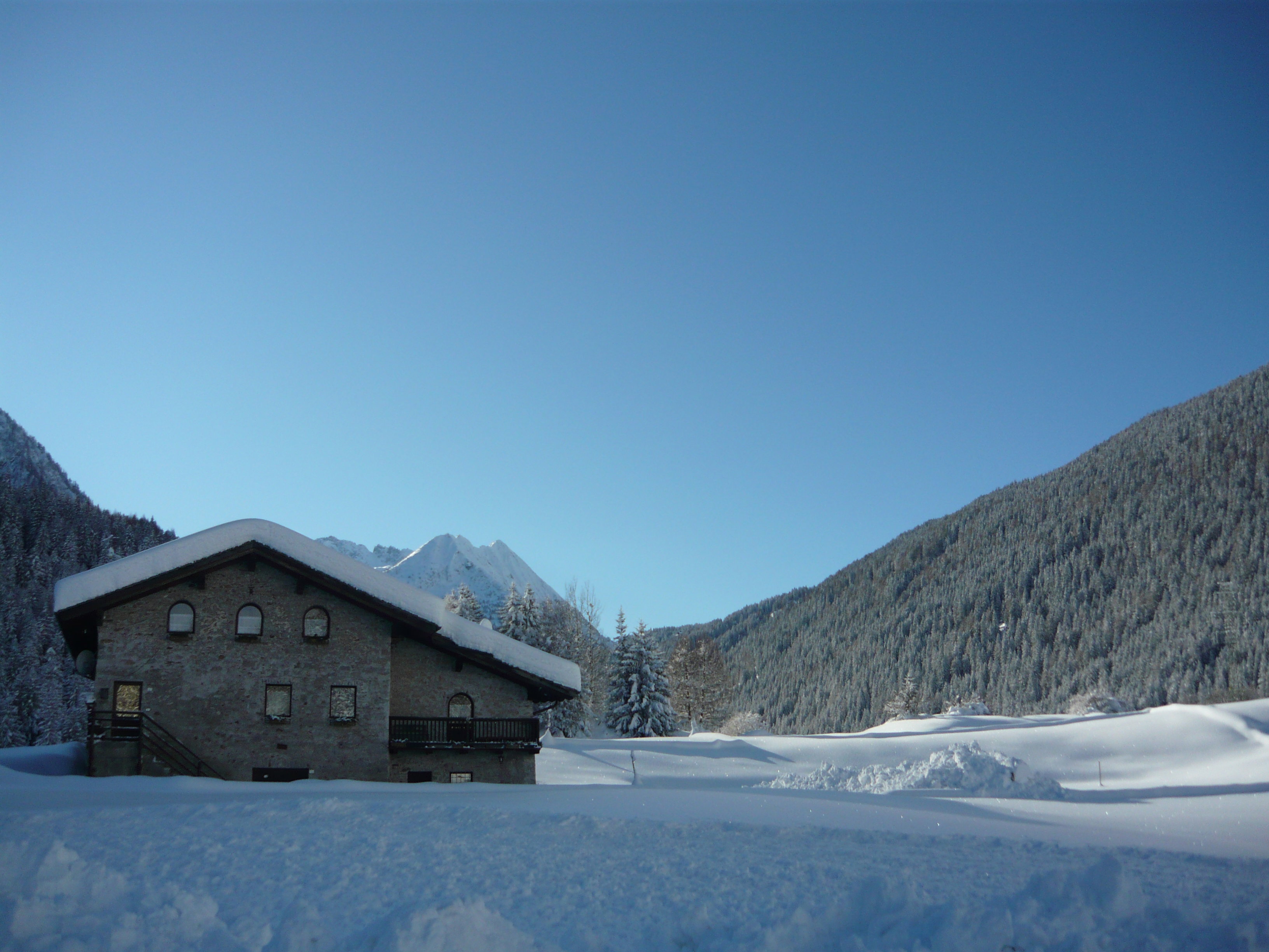 Maison nature à vermiglio