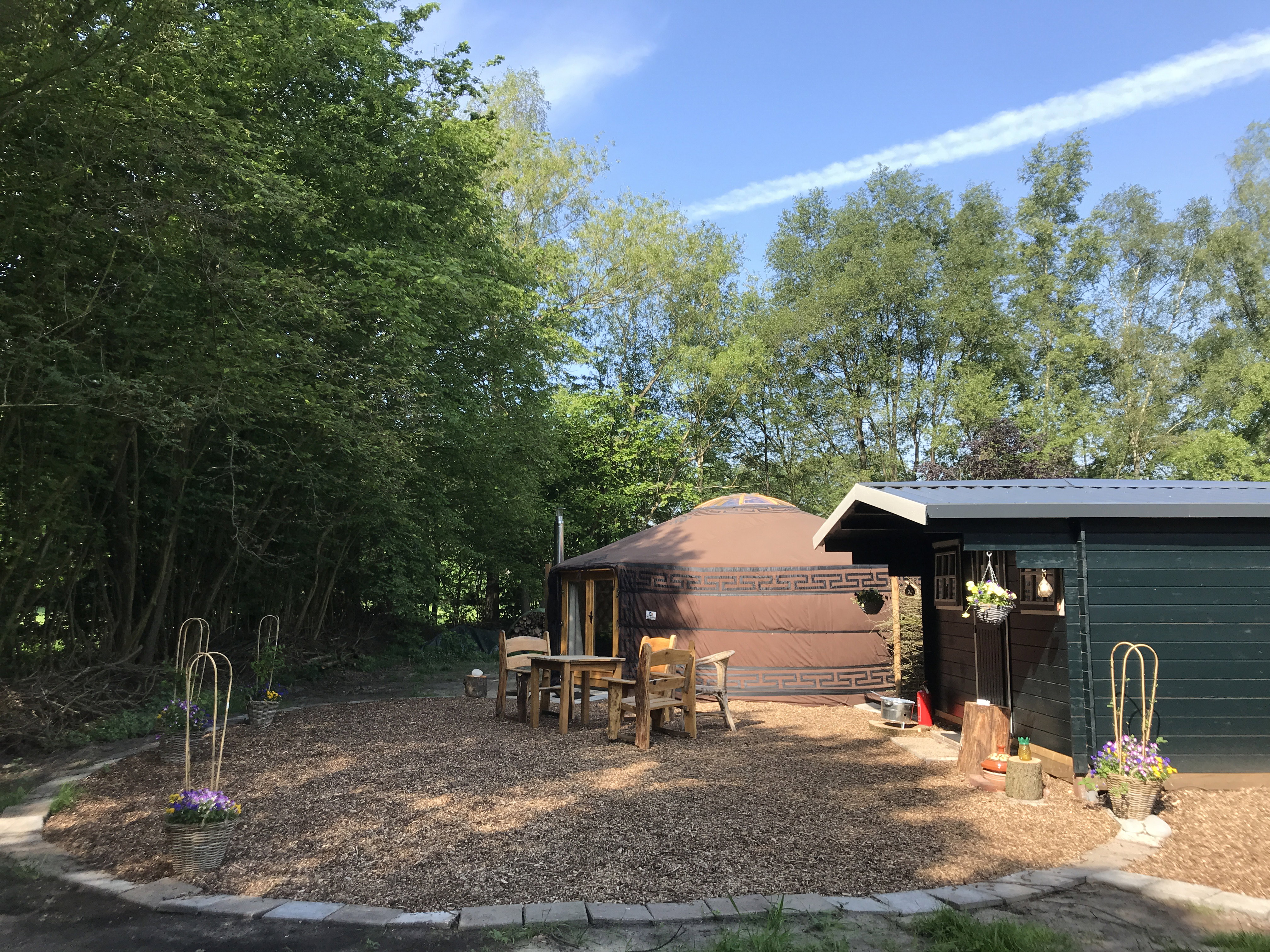 Natuurhuisje in Dwingeloo