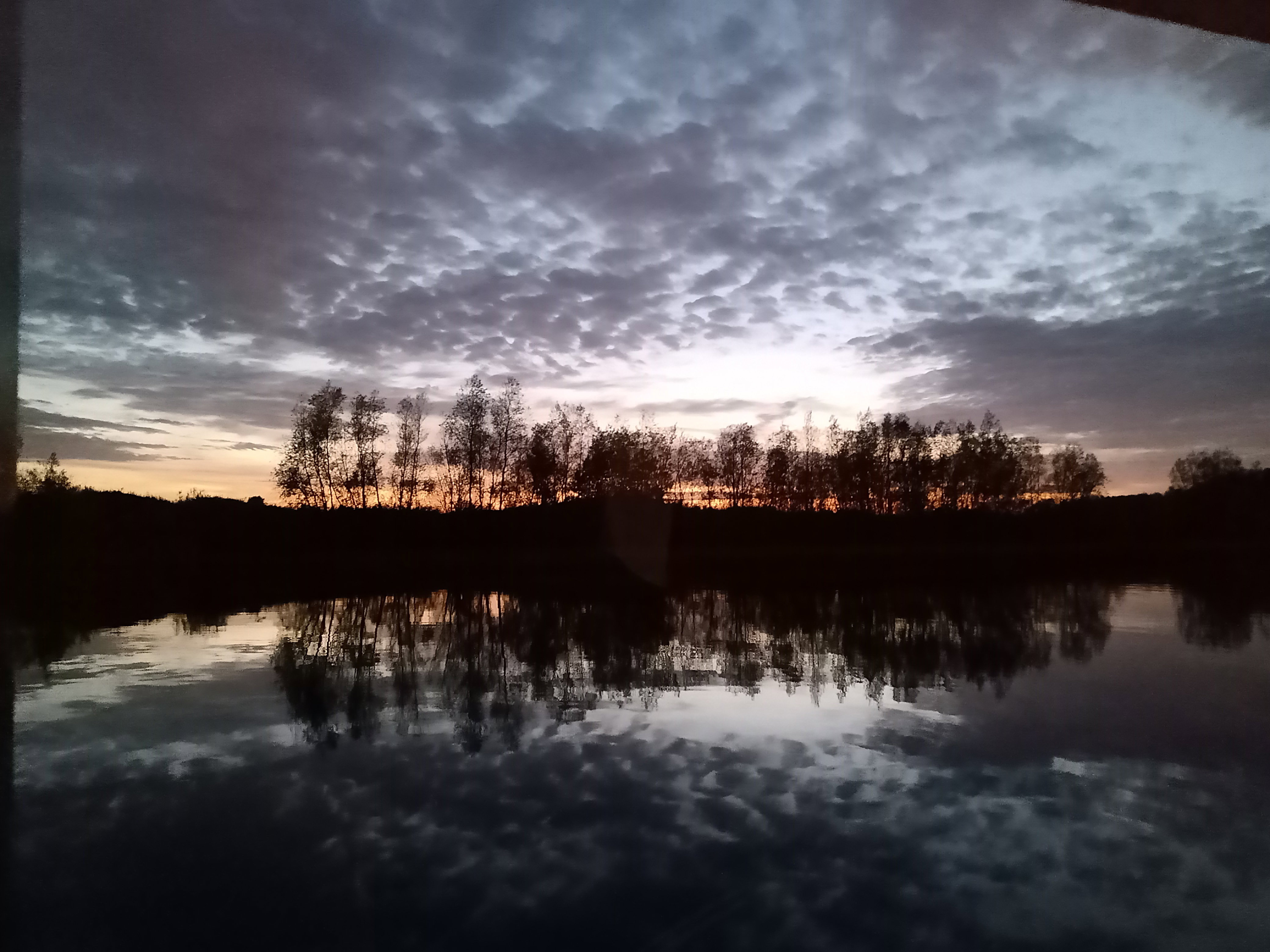 - image: 19
