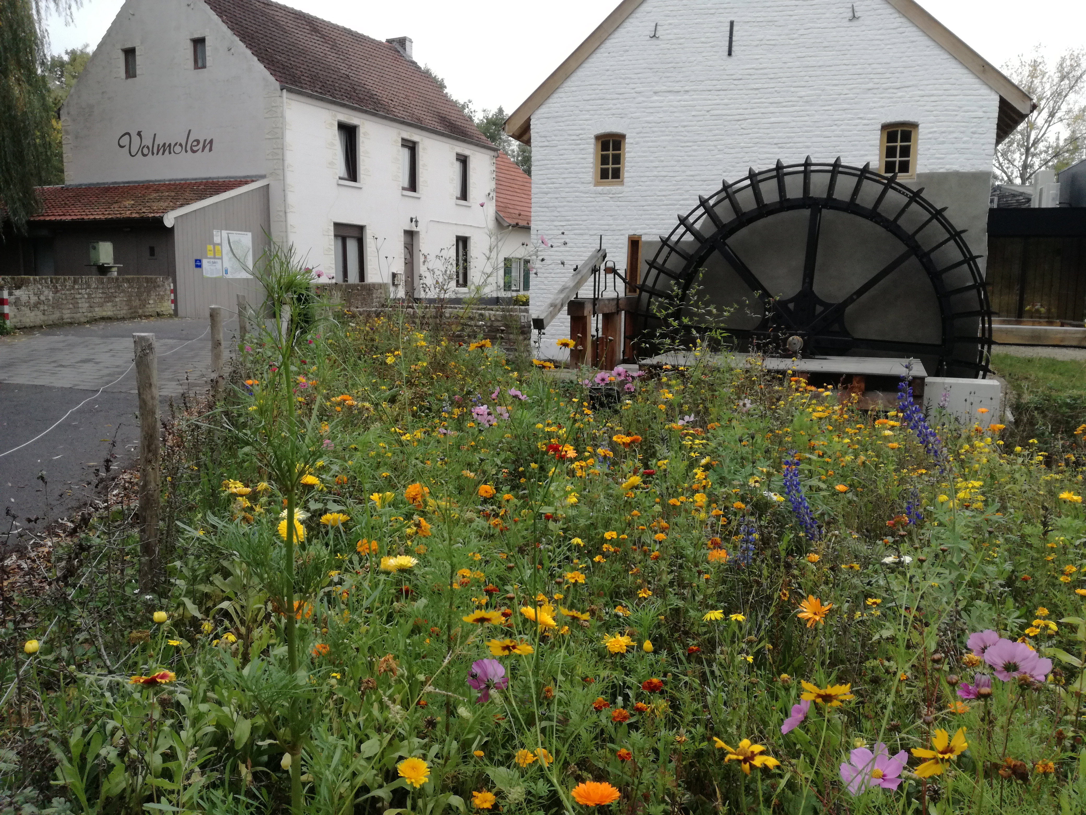 Casa nella natura a Opoeteren