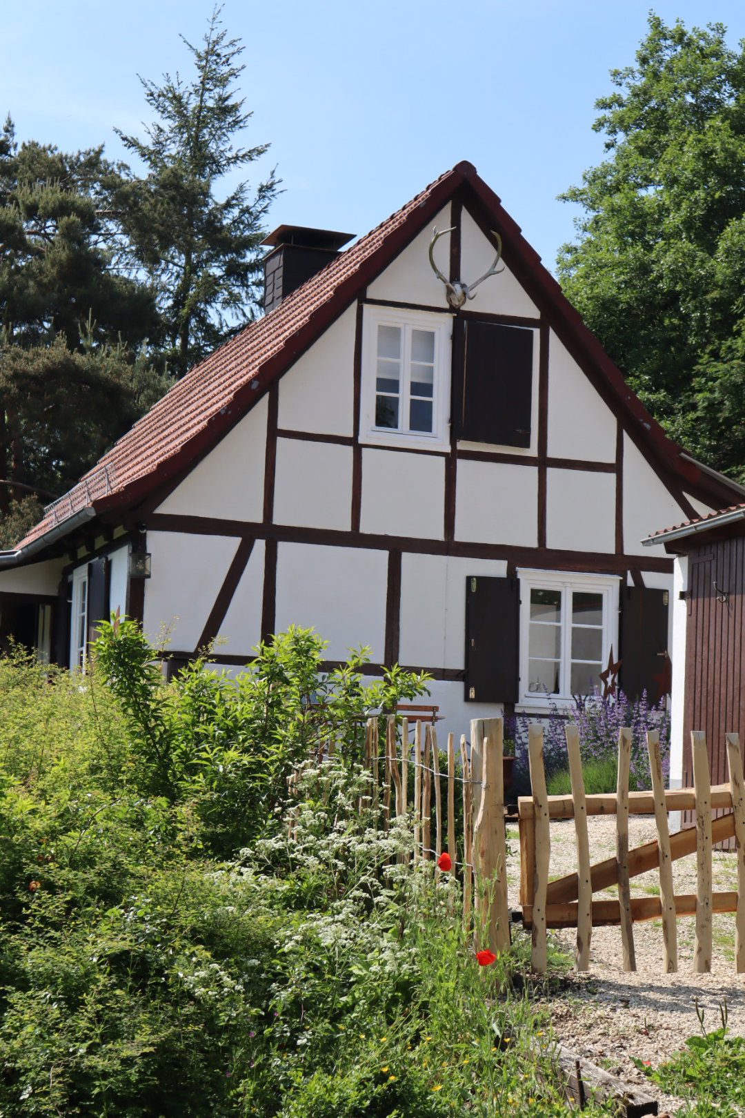 Naturhäuschen in Diemelsee-Flechtdorf
